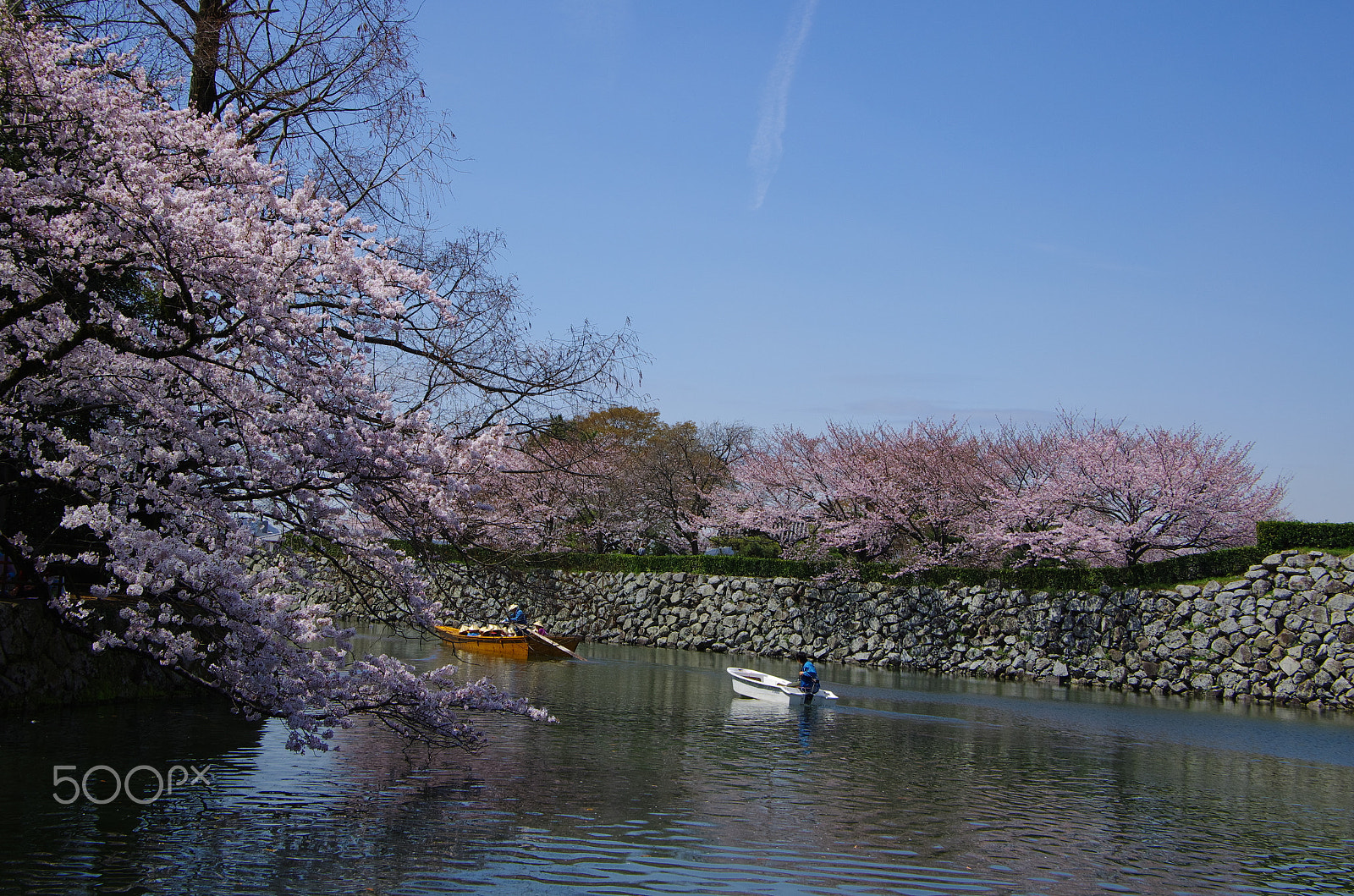Pentax smc DA 16-45mm F4 ED AL sample photo. Soring full bloom photography