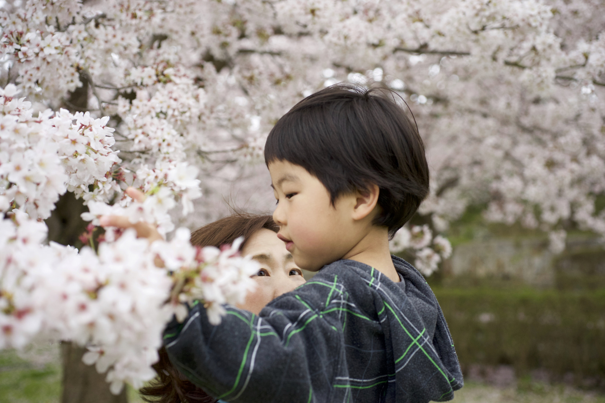 Sony a7 + Sony 50mm F2.8 Macro sample photo. Looking at a grandson with a gentle gaze photography