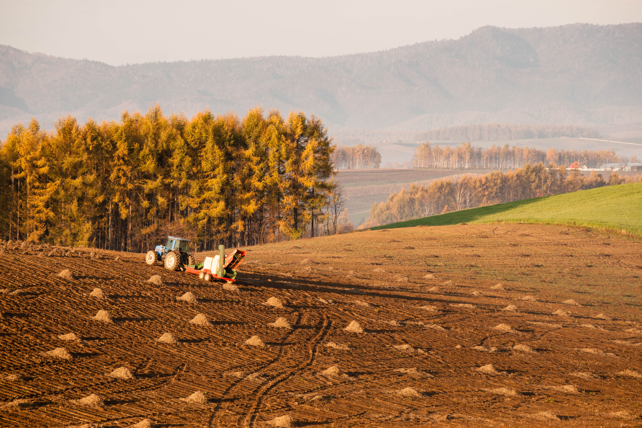 Sony 70-300mm F4.5-5.6 G SSM sample photo. Work in autumn photography