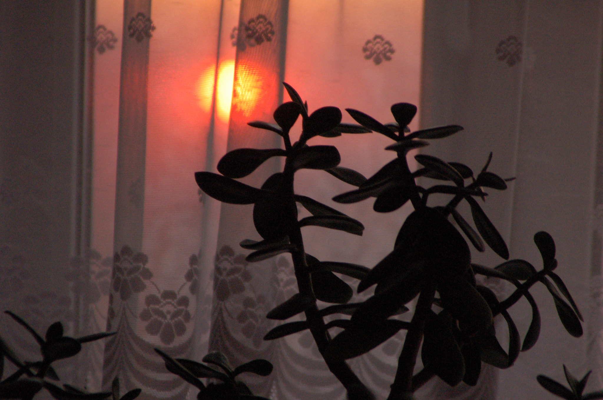 Nikon D50 sample photo. Morning photography