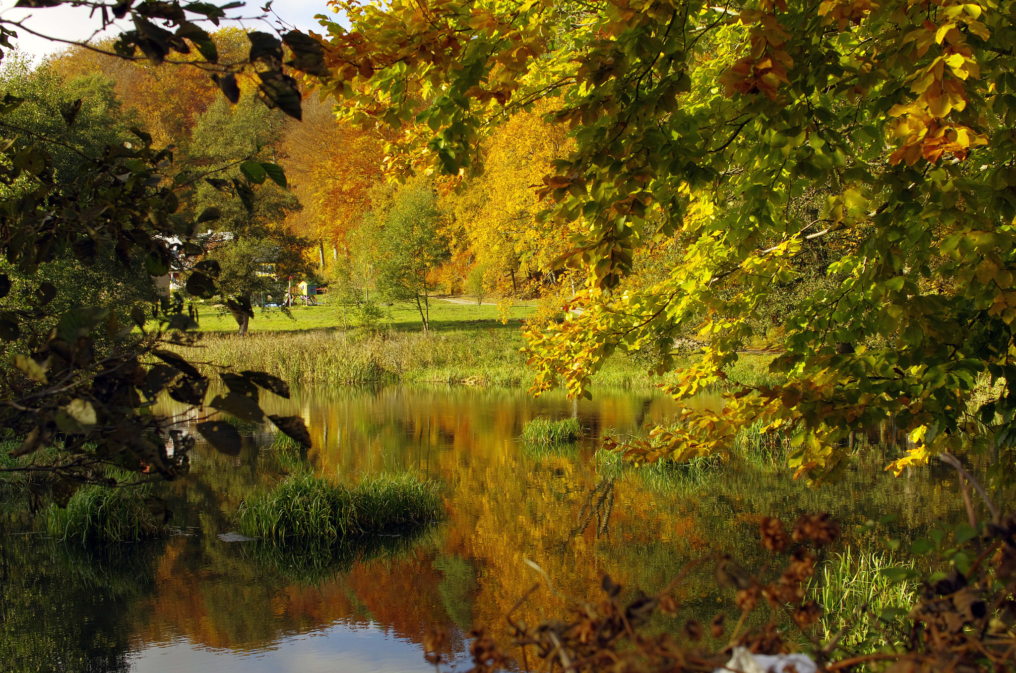 Pentax K-5 sample photo. Autumn photography