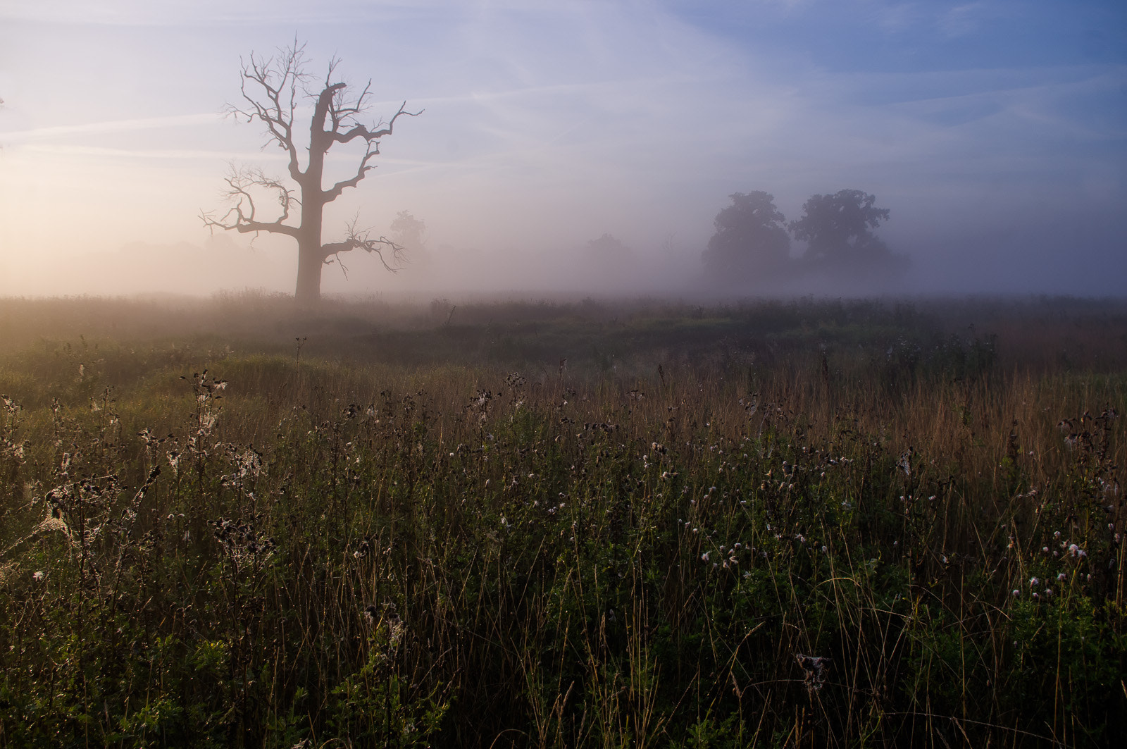 Pentax smc DA 18-55mm F3.5-5.6 AL WR sample photo. Foggy landscape photography