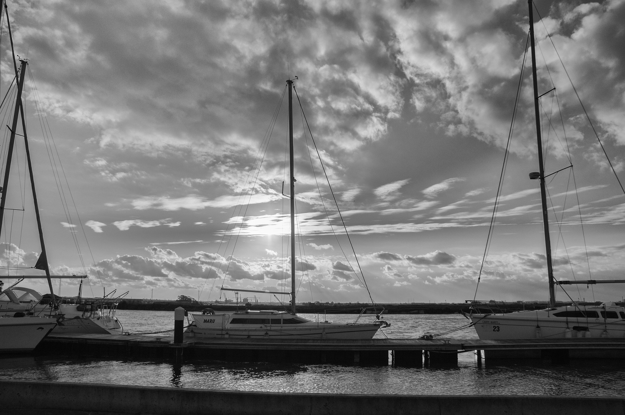 Sony SLT-A55 (SLT-A55V) sample photo. Barco photography