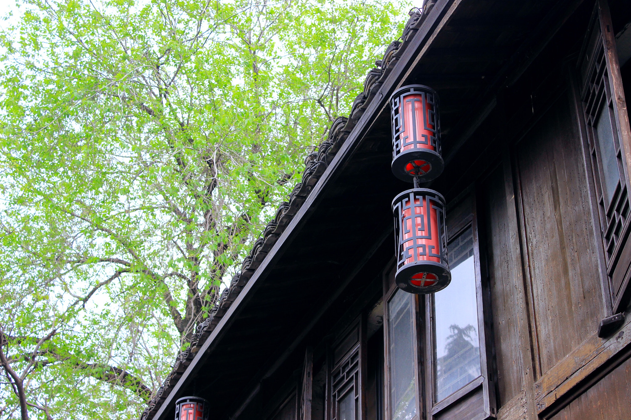 Canon EF-S 18-55mm F3.5-5.6 IS II sample photo. 春 photography
