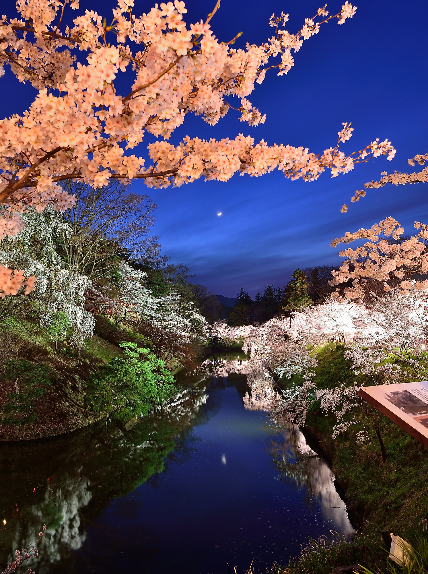 Nikon D600 + Sigma 24mm F1.8 EX DG Aspherical Macro sample photo. Sakura japan photography