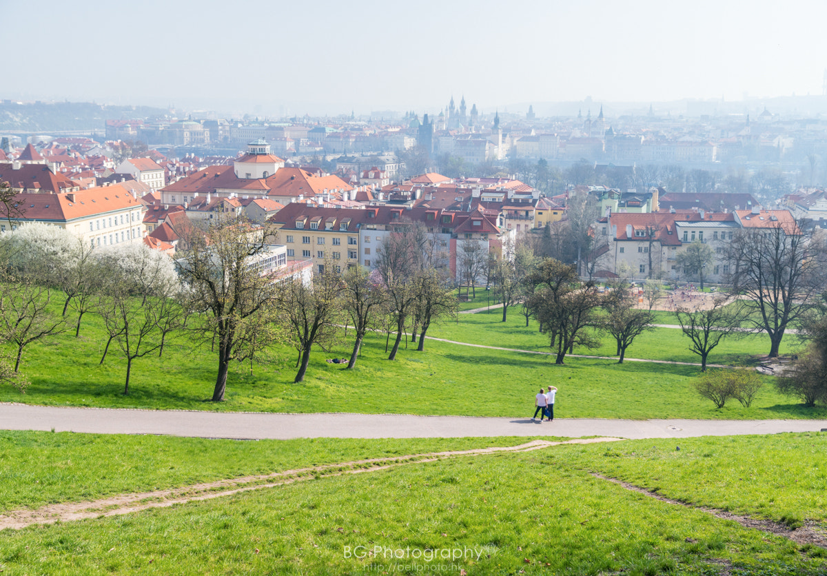 Sony a7 II + Canon EF 85mm F1.2L II USM sample photo. Panoramic view. photography