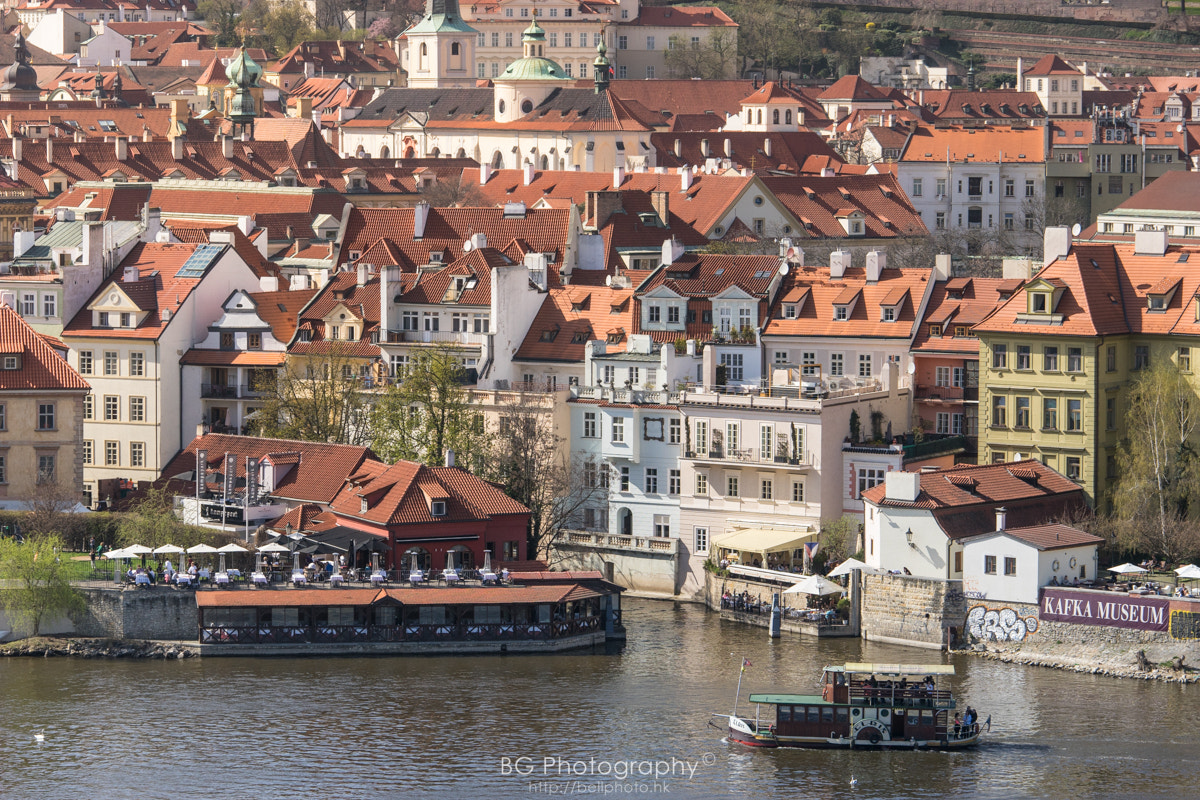 Sony a7 II + Canon EF 70-200mm F4L IS USM sample photo. Red brick roofs. photography