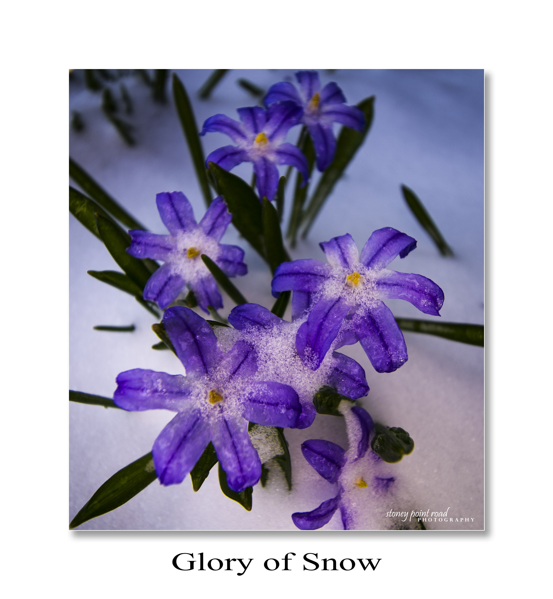 Canon EF-S 10-18mm F4.5–5.6 IS STM sample photo. Blue ice photography