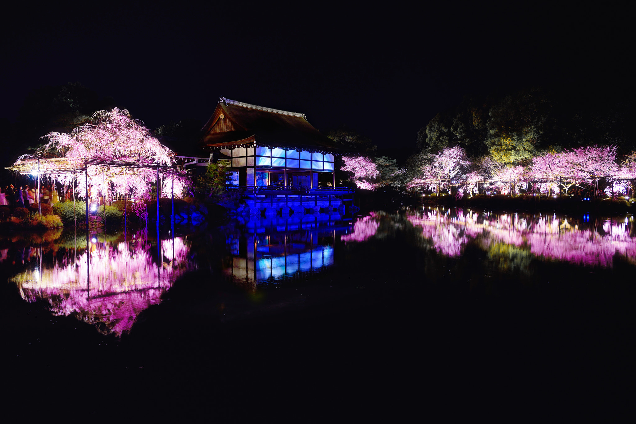 Nikon AF-S Nikkor 24-70mm F2.8E ED VR sample photo. Shrine of crimson pink photography