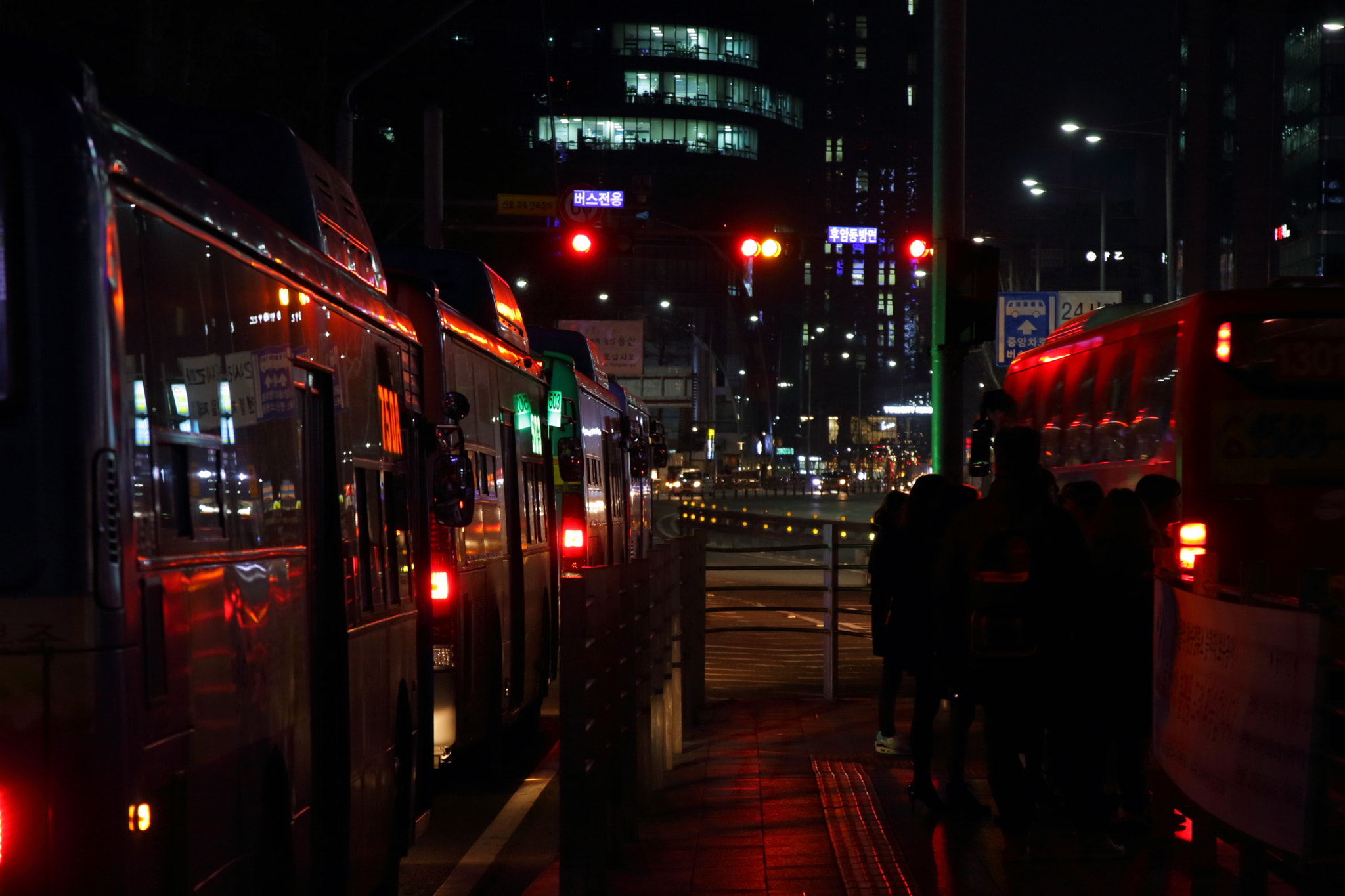 Canon EOS 100D (EOS Rebel SL1 / EOS Kiss X7) + Canon EF 500mm F4L IS USM sample photo. 토요일 밤에 photography