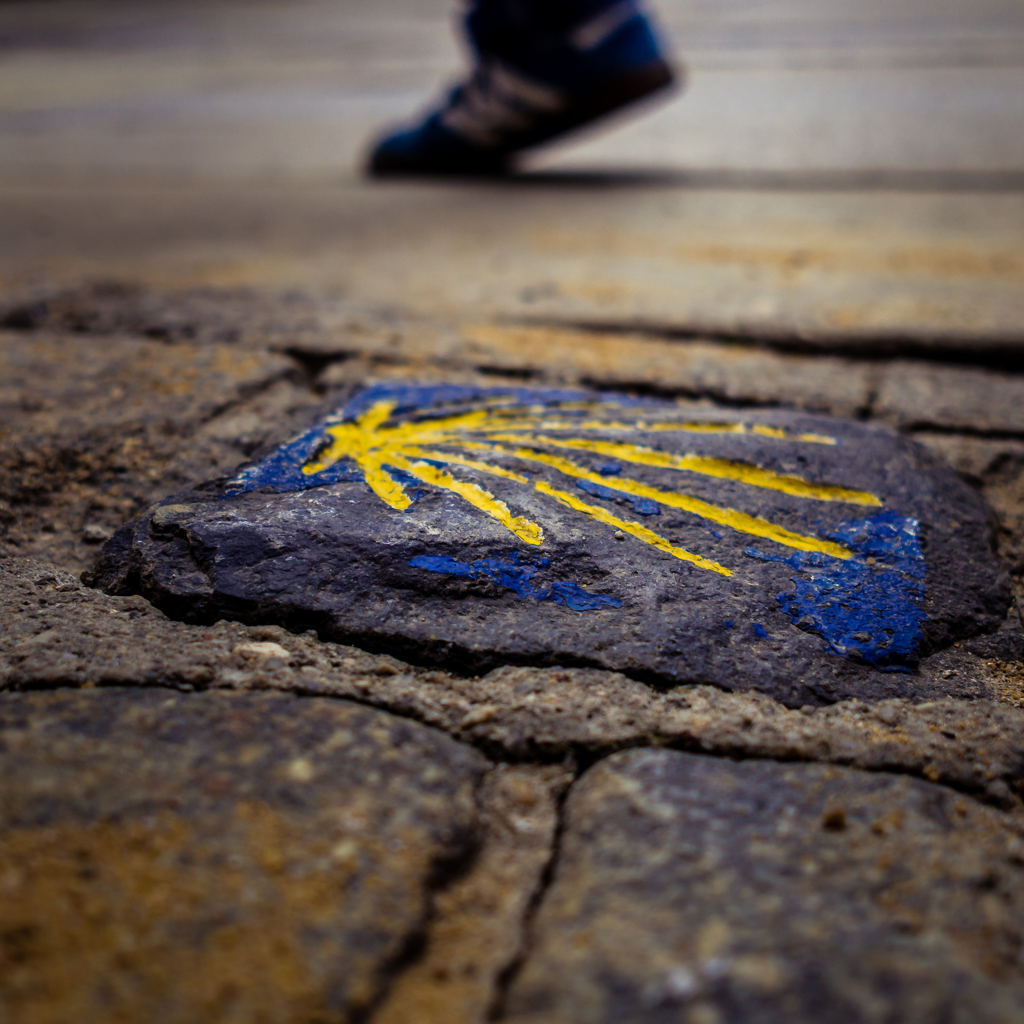 Sigma 19mm F2.8 DN Art sample photo. Paving stone photography