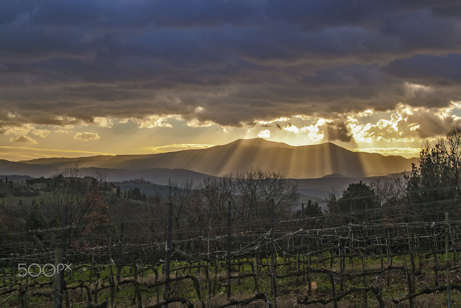 Pentax K100D + smc PENTAX-FA 28-70mm F4 AL sample photo. One morning from my vineyard in monte antico photography
