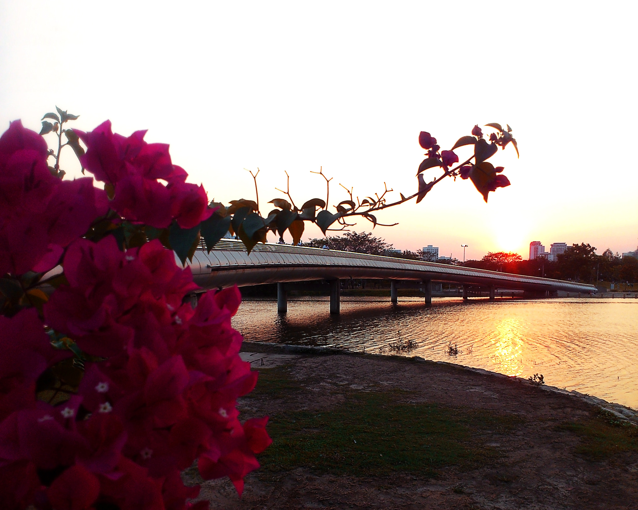 Sony Ericsson Xperia ray sample photo. Anh sao bridge, hcmc photography