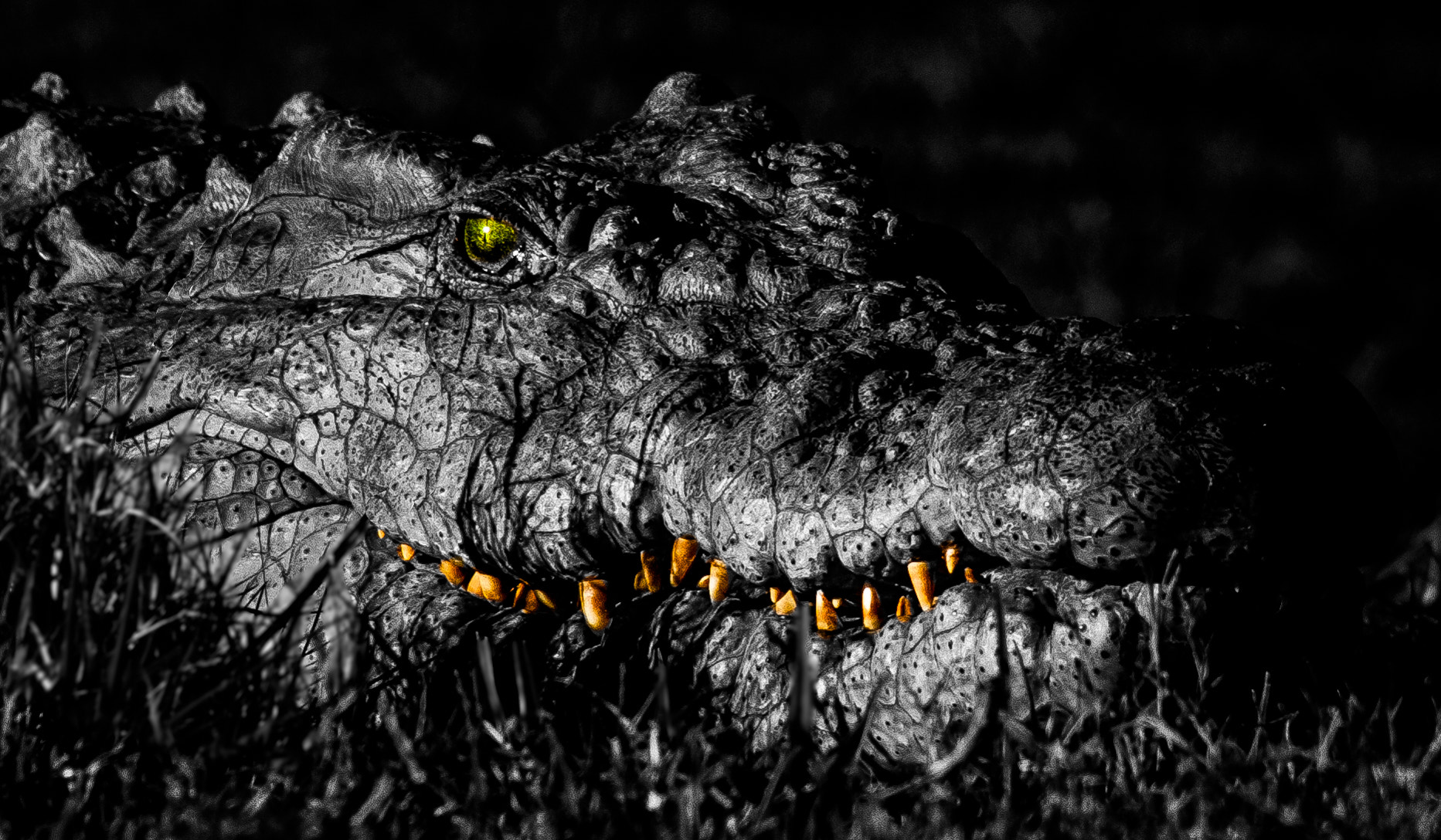 Sigma 18-250mm F3.5-6.3 DC OS HSM sample photo. Pure evil photography