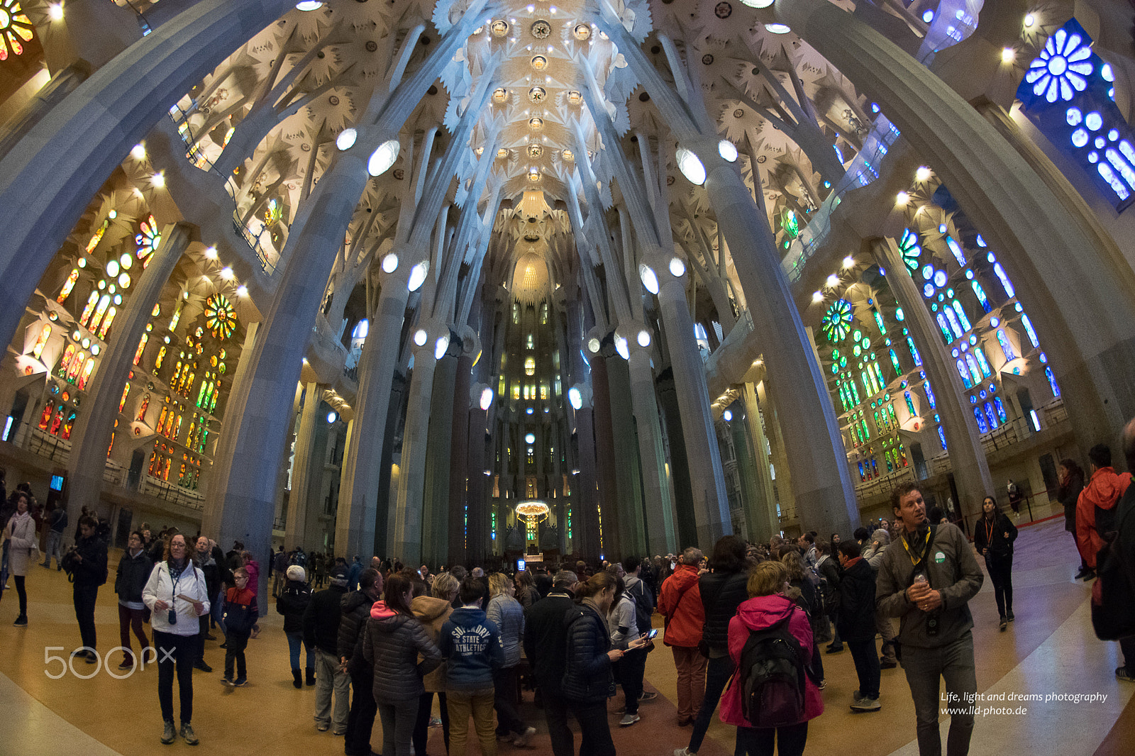 Nikon D5300 + Samyang 8mm F3.5 Aspherical IF MC Fisheye sample photo. Sagrada familia inside photography