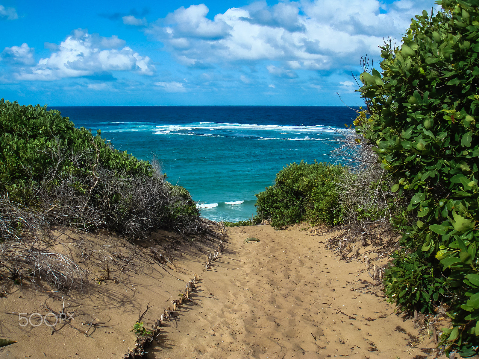 Sony DSC-T30 sample photo. Walking dunes photography
