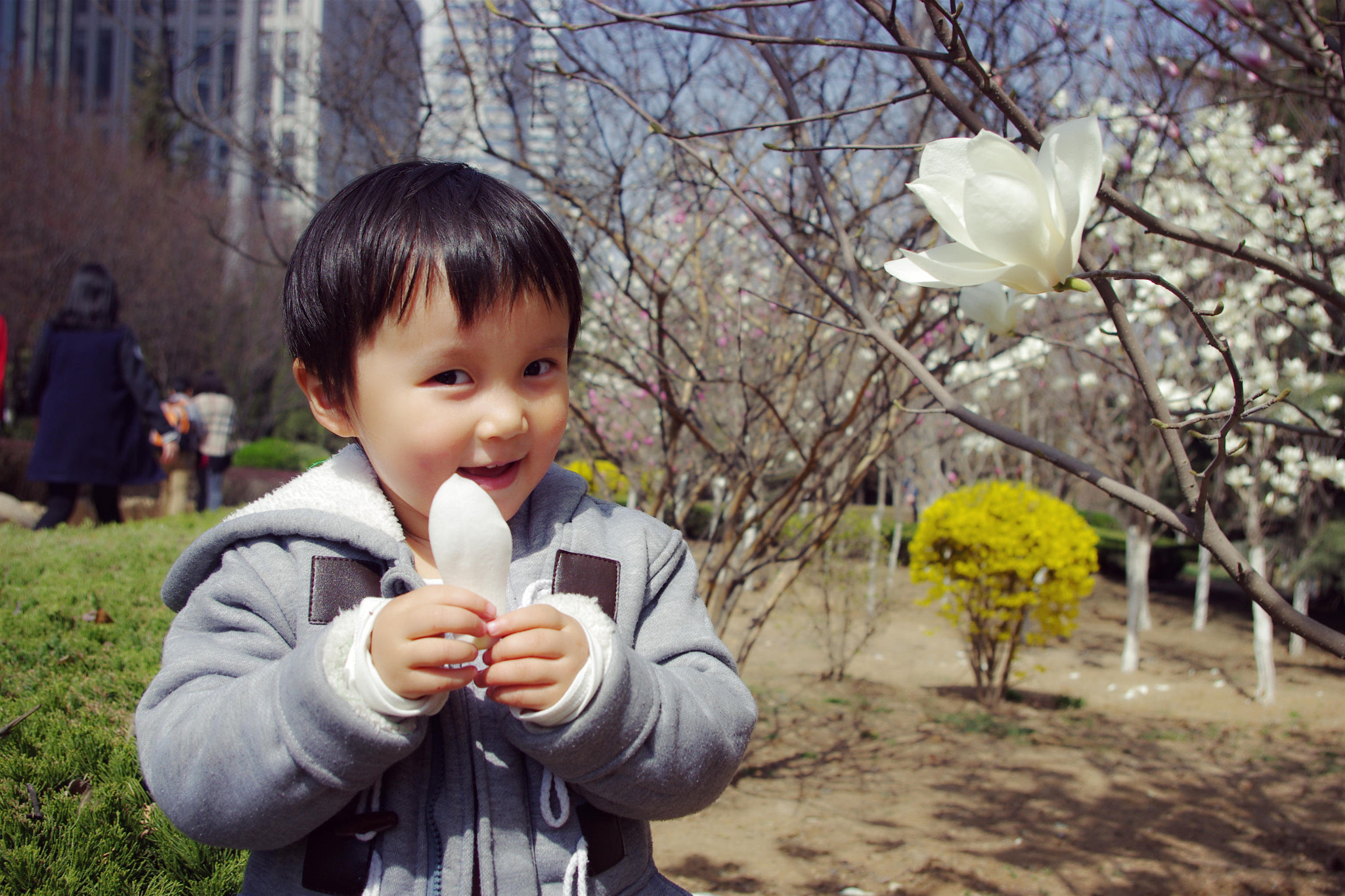 smc PENTAX-DA L 18-55mm F3.5-5.6 sample photo. 玉兰花 photography