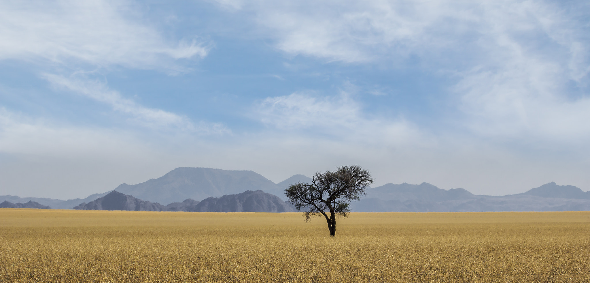 Canon EF 70-300mm F4-5.6L IS USM sample photo. Solitude photography