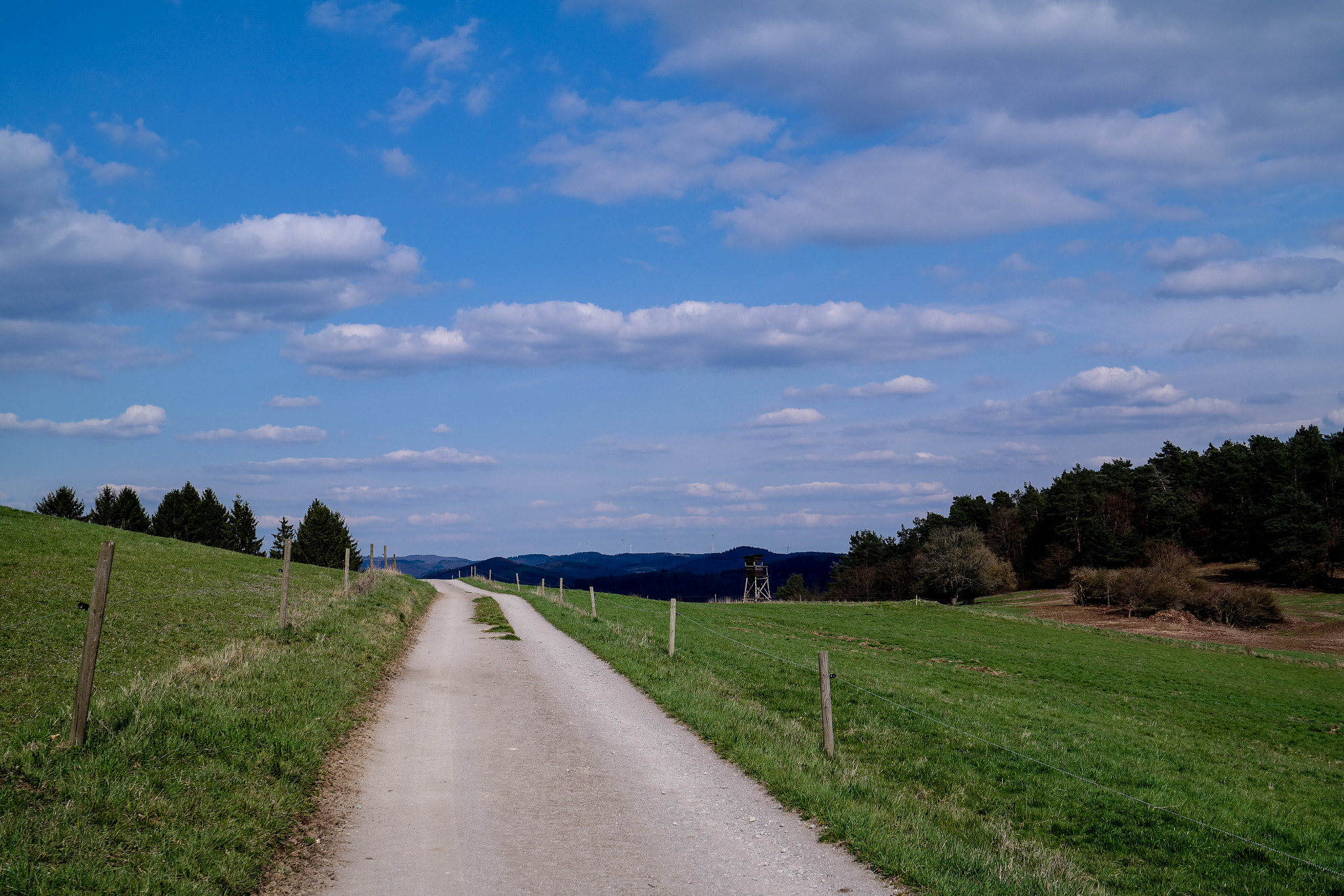 Saumsun NX 16-50mm F2-2.8 S ED OIS sample photo. Wonderfull nature photography