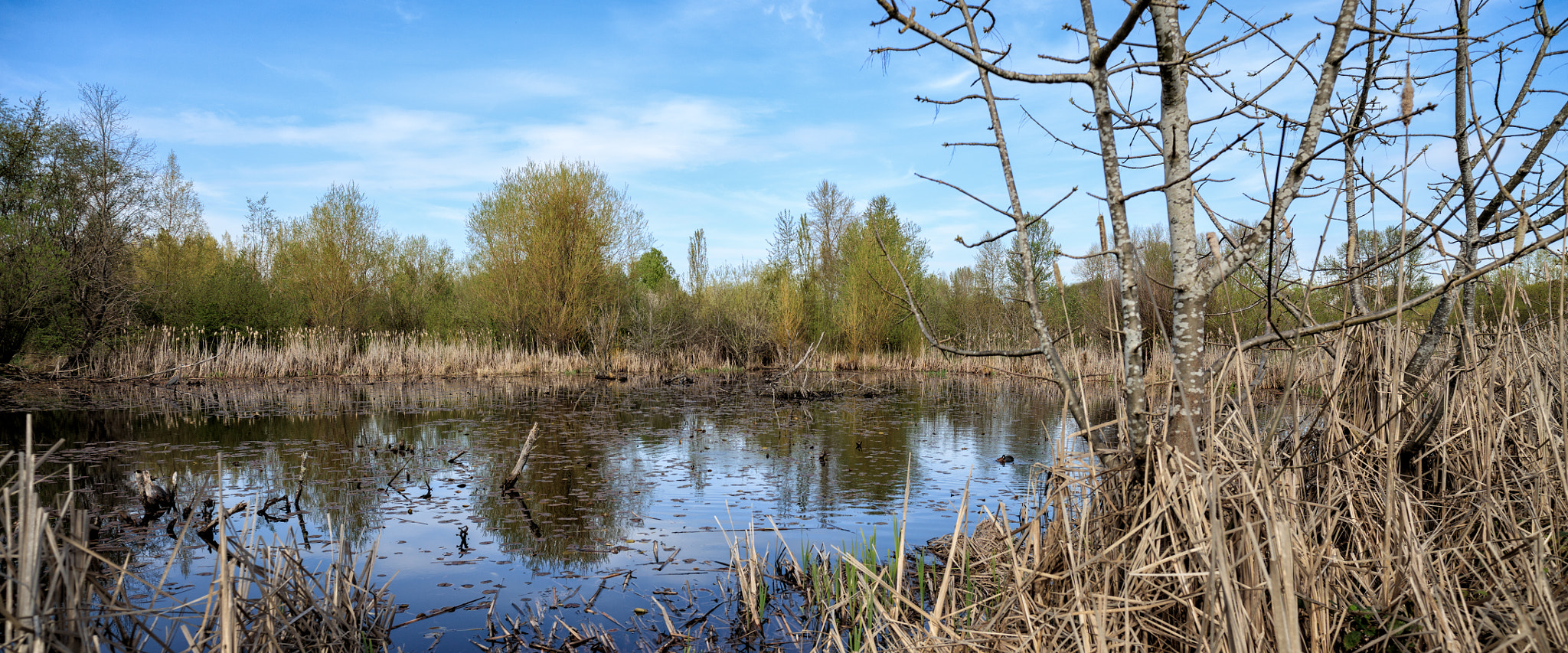 Canon EOS 5DS R sample photo. An urban oasis photography