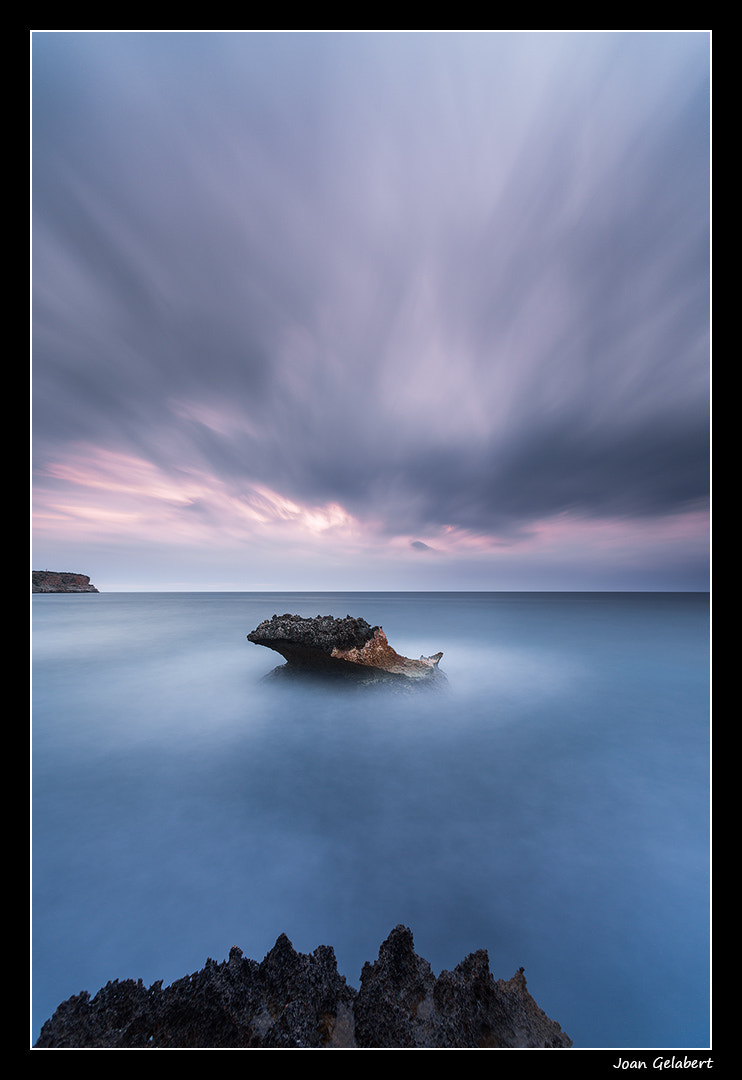 Nikon D800 + Nikon AF Nikkor 14mm F2.8D ED sample photo. 2016-03-24_06.42.11.jpg photography