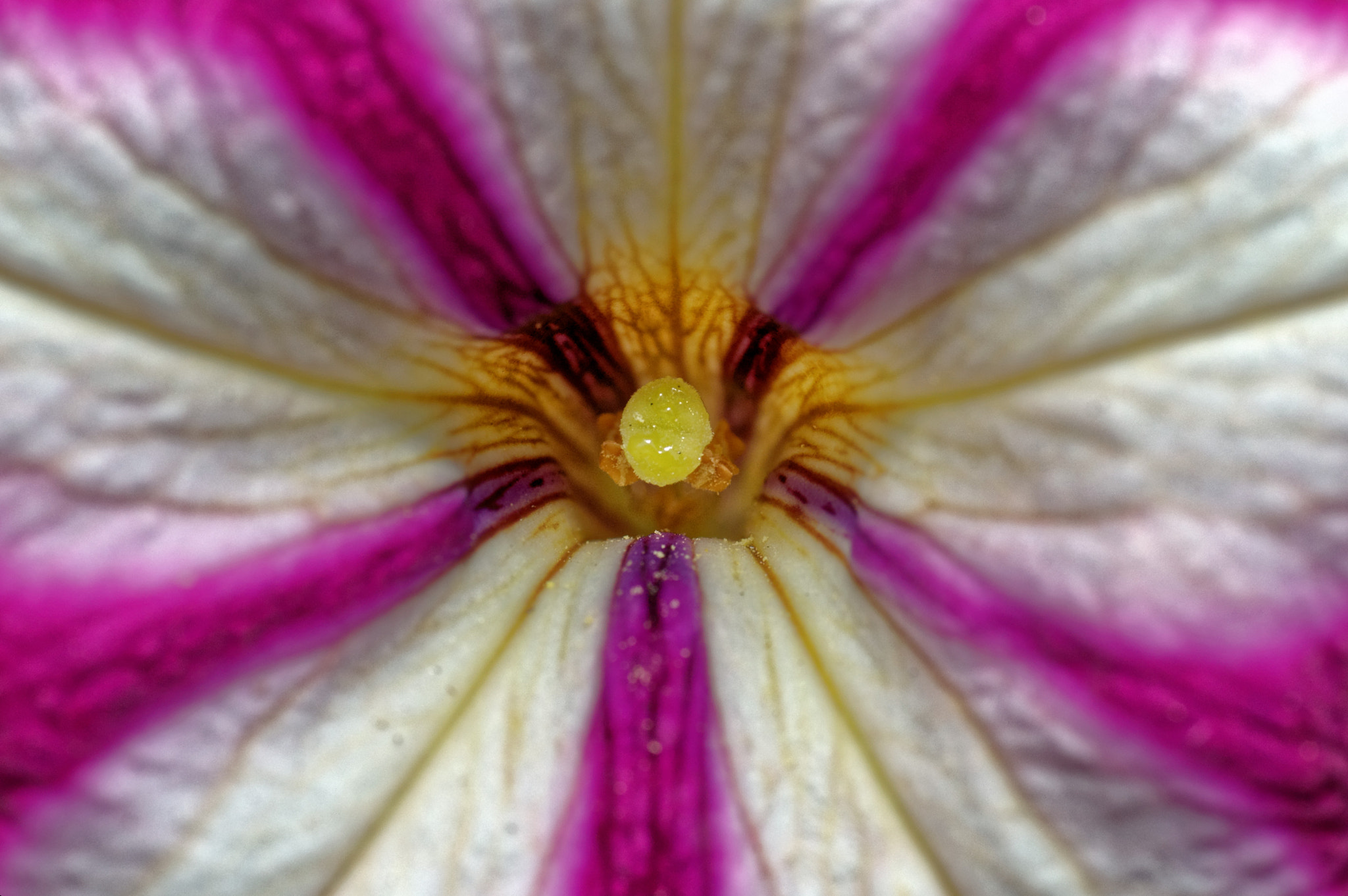 Nikon D50 sample photo. Done photography