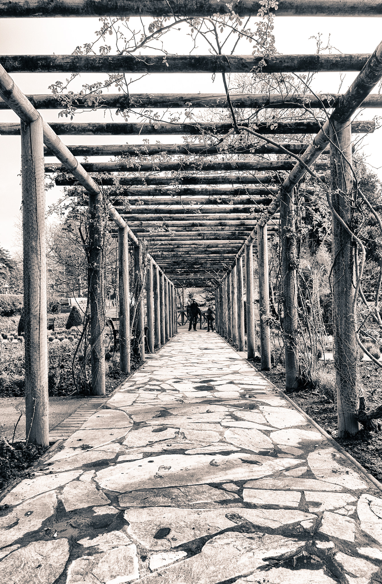 Pentax K-01 sample photo. Corridor photography