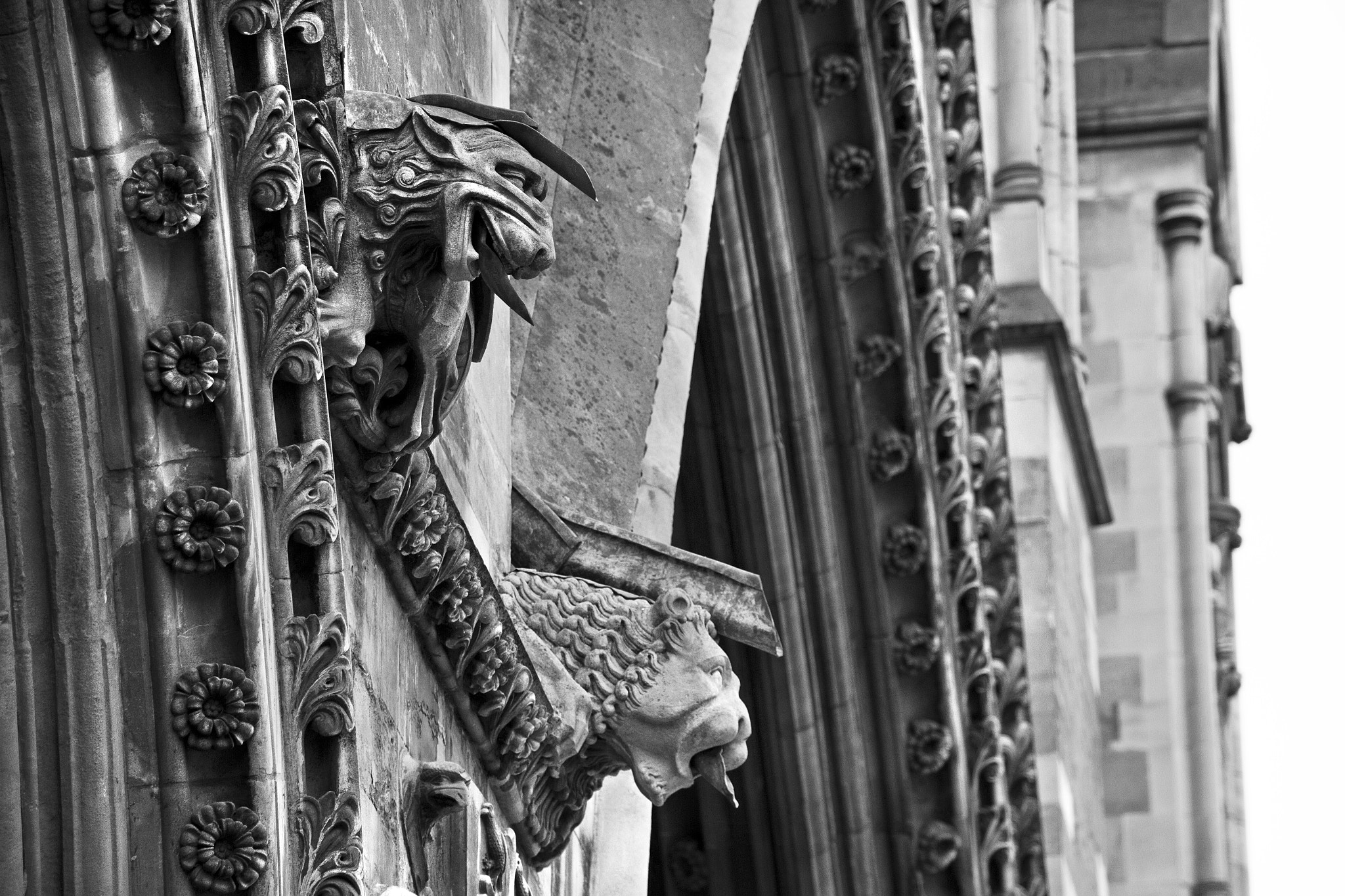 Canon EF-S 18-135mm F3.5-5.6 IS STM sample photo. Gargoyles photography