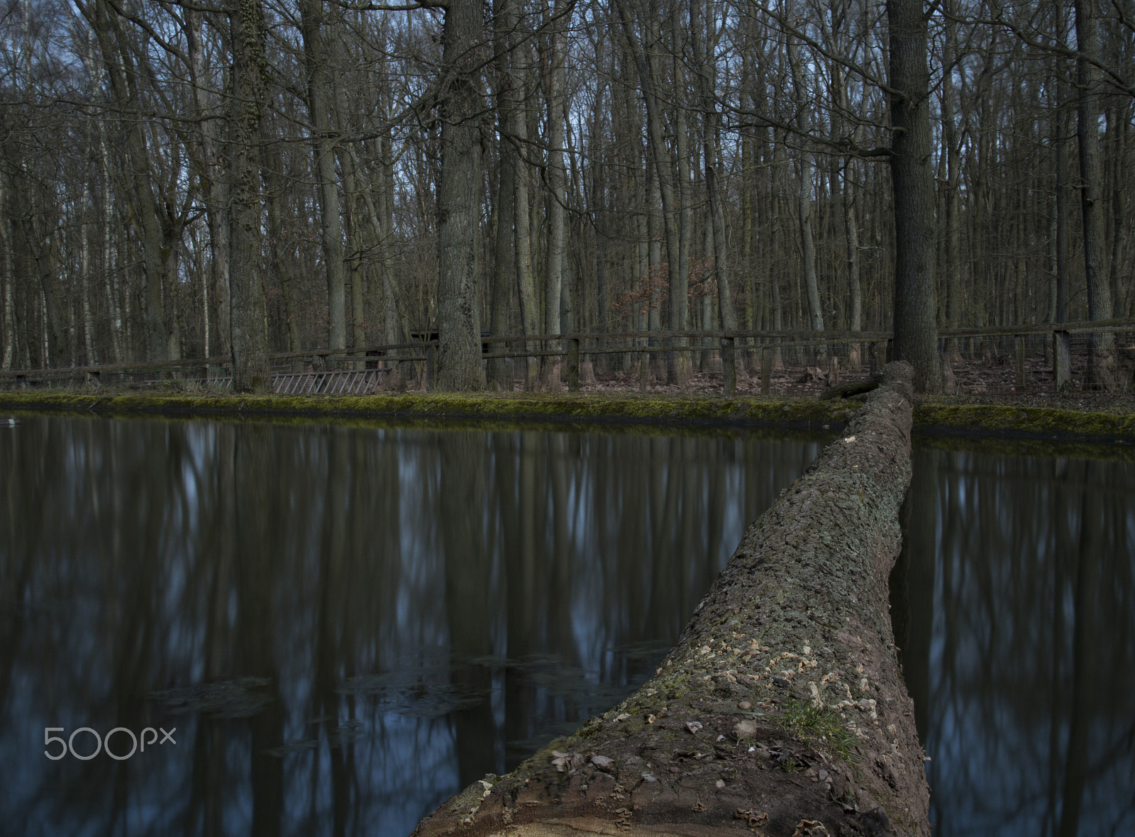 Canon EF 24-105mm F3.5-5.6 IS STM sample photo. Natural photography