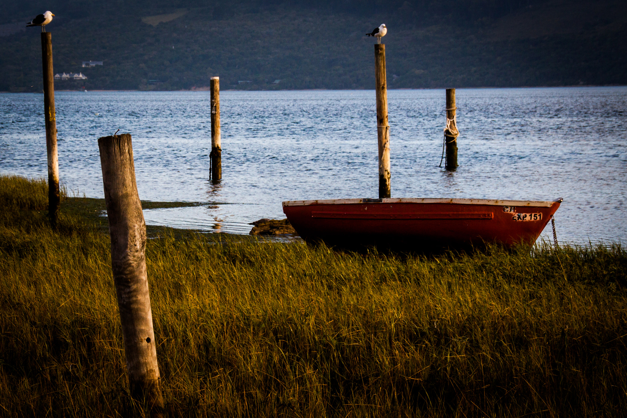 Sigma 18-250mm F3.5-6.3 DC OS HSM sample photo. Off to sea photography
