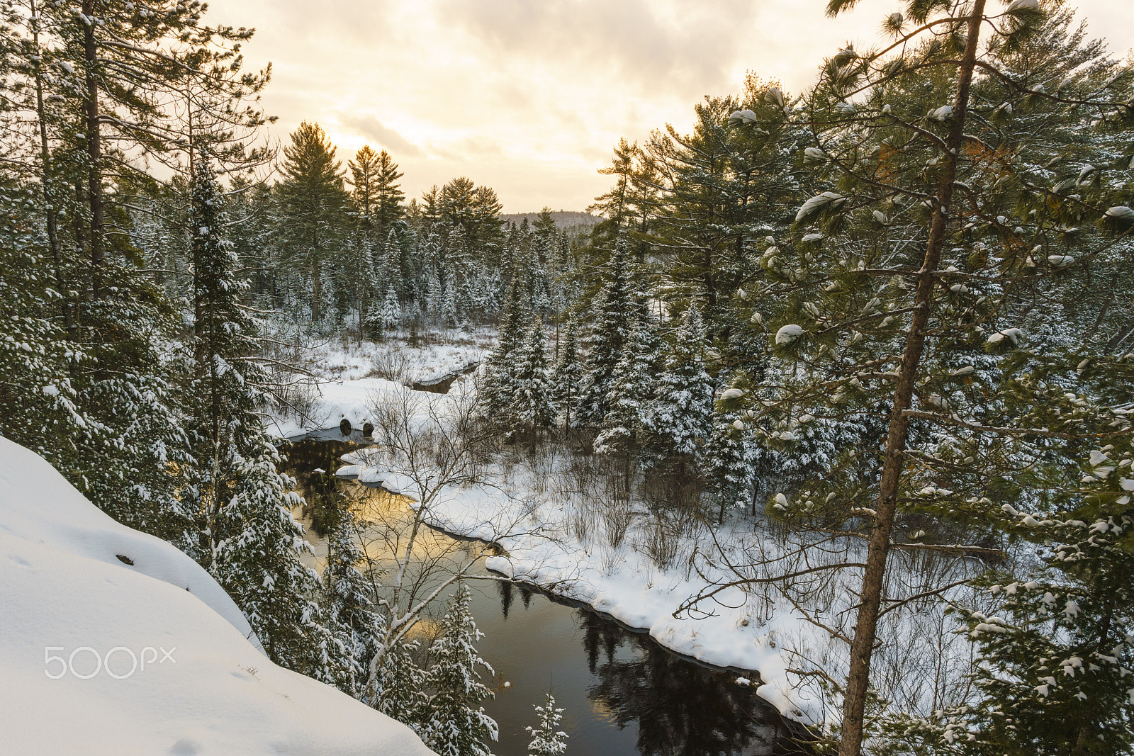 Sony a7R II + Canon EF 17-40mm F4L USM sample photo. Winter landscape of a wilderness park photography