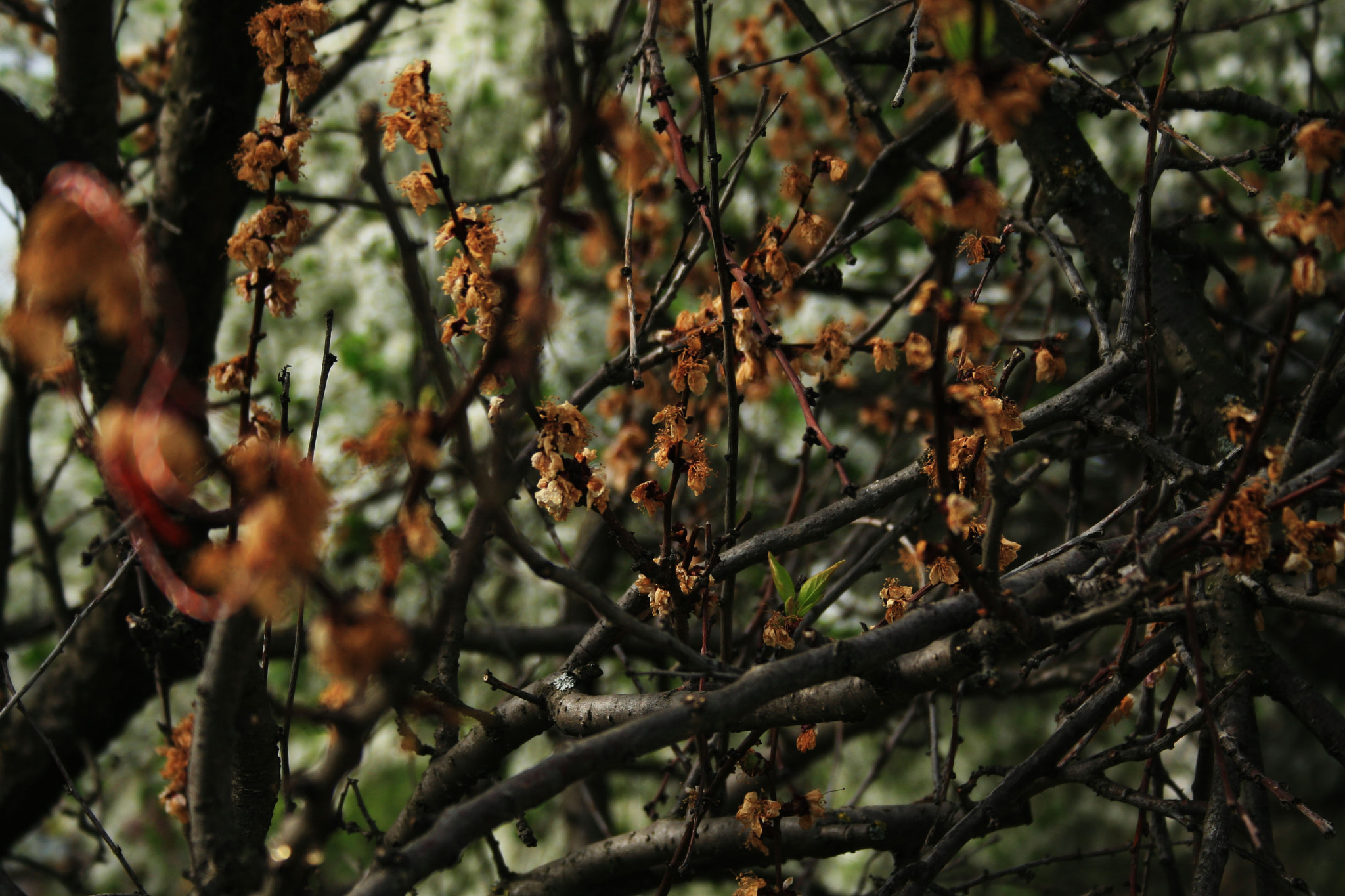 Canon EF-S 18-55mm F3.5-5.6 sample photo