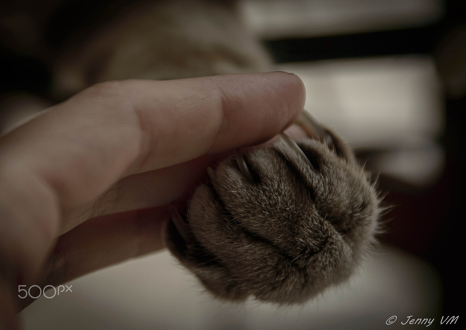 Sigma 17-70mm F2.8-4 DC Macro OS HSM | C sample photo. Missed you photography