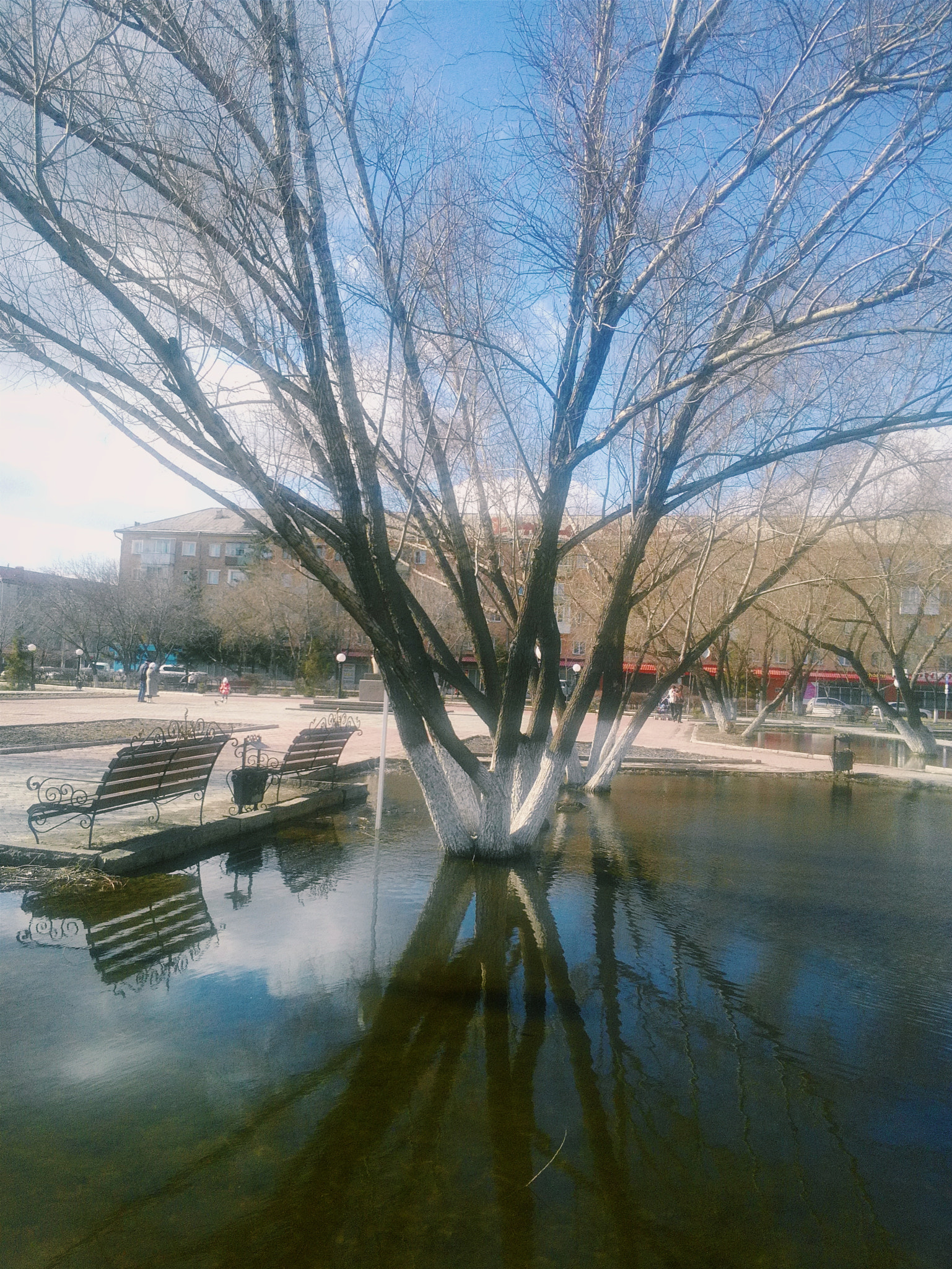 HUAWEI Y541-U02 sample photo. Hello spring! photography