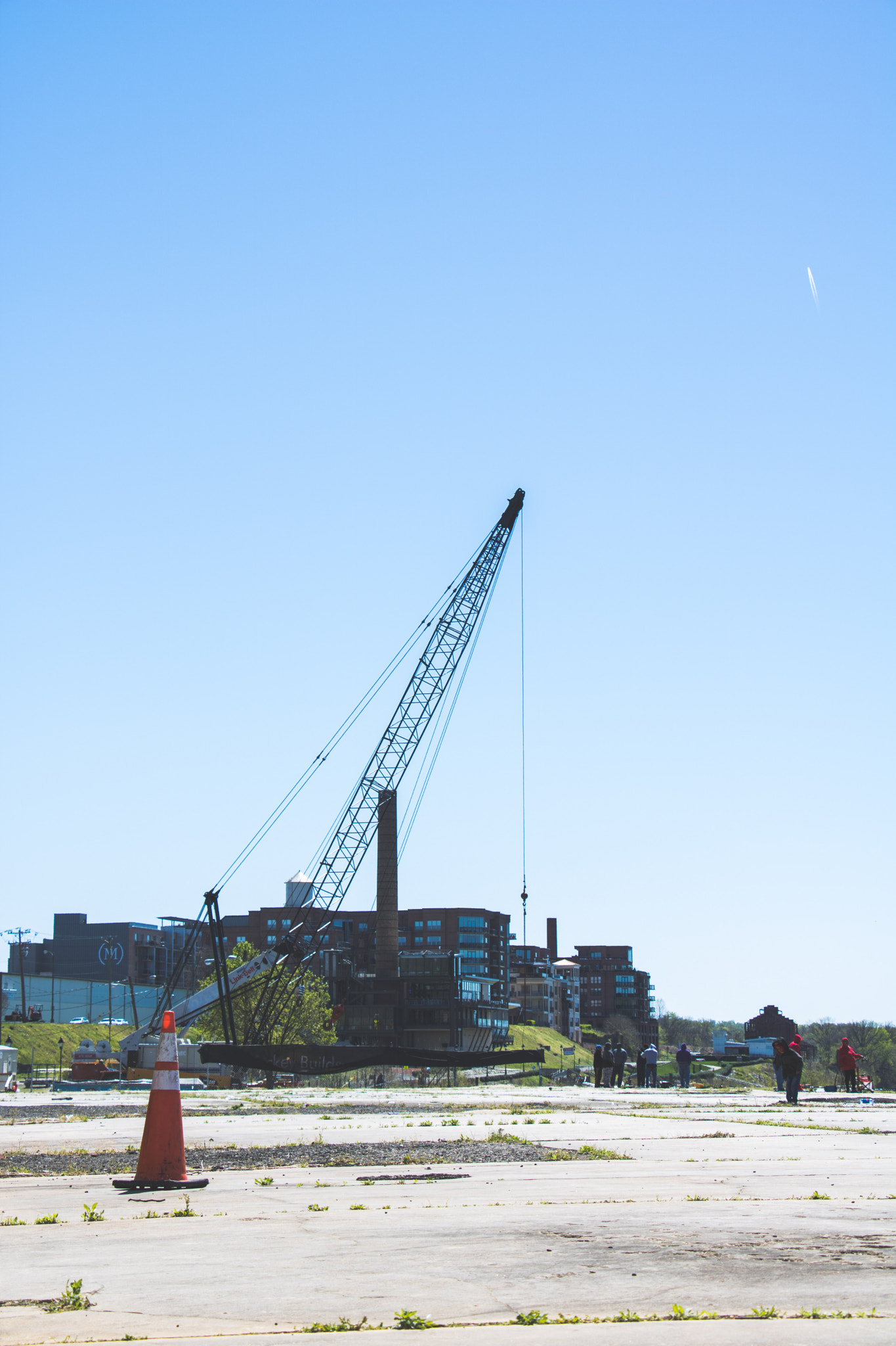 Canon EOS 760D (EOS Rebel T6s / EOS 8000D) sample photo. Crane photography