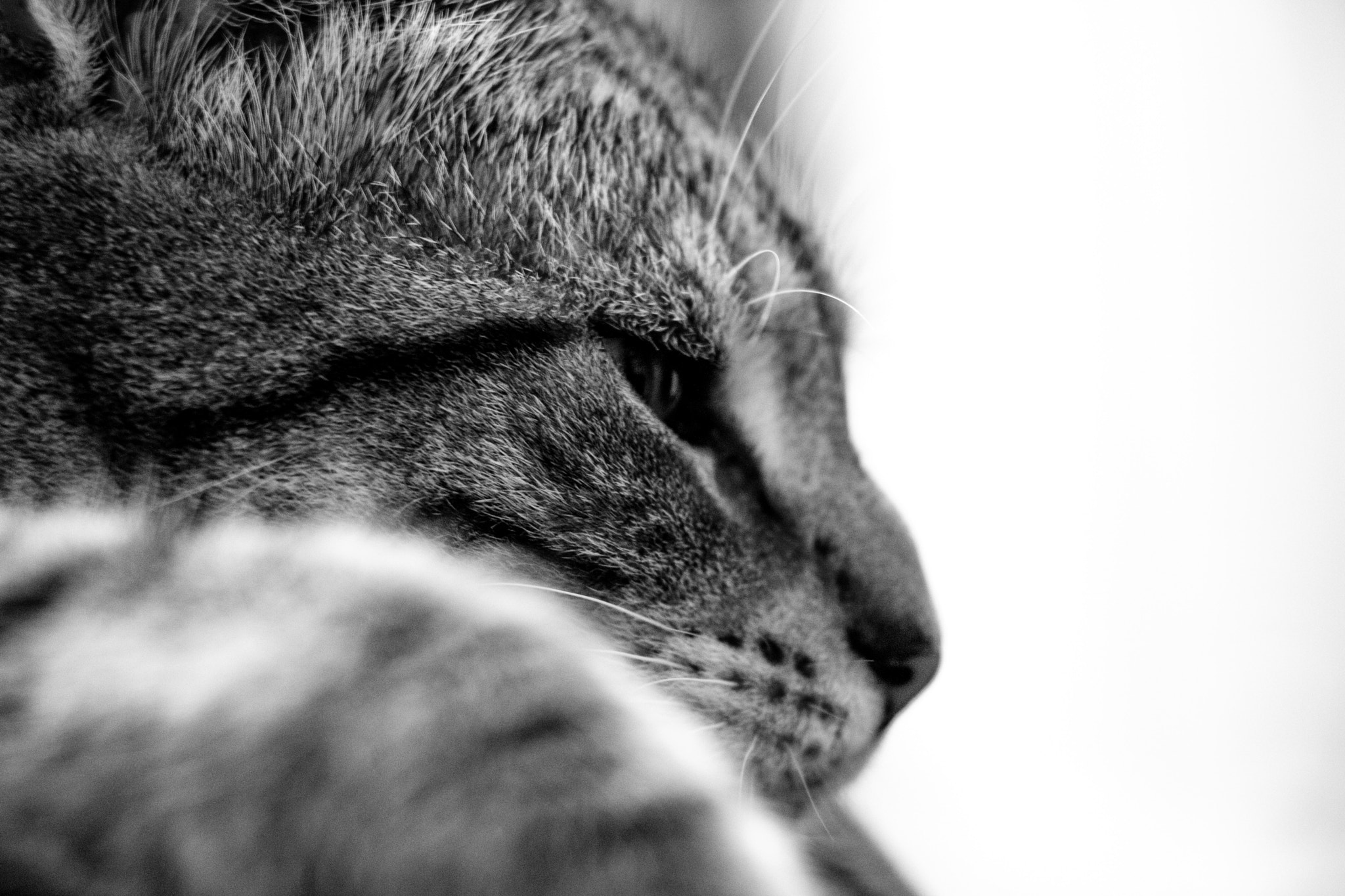 Canon EOS 760D (EOS Rebel T6s / EOS 8000D) sample photo. Danny photography