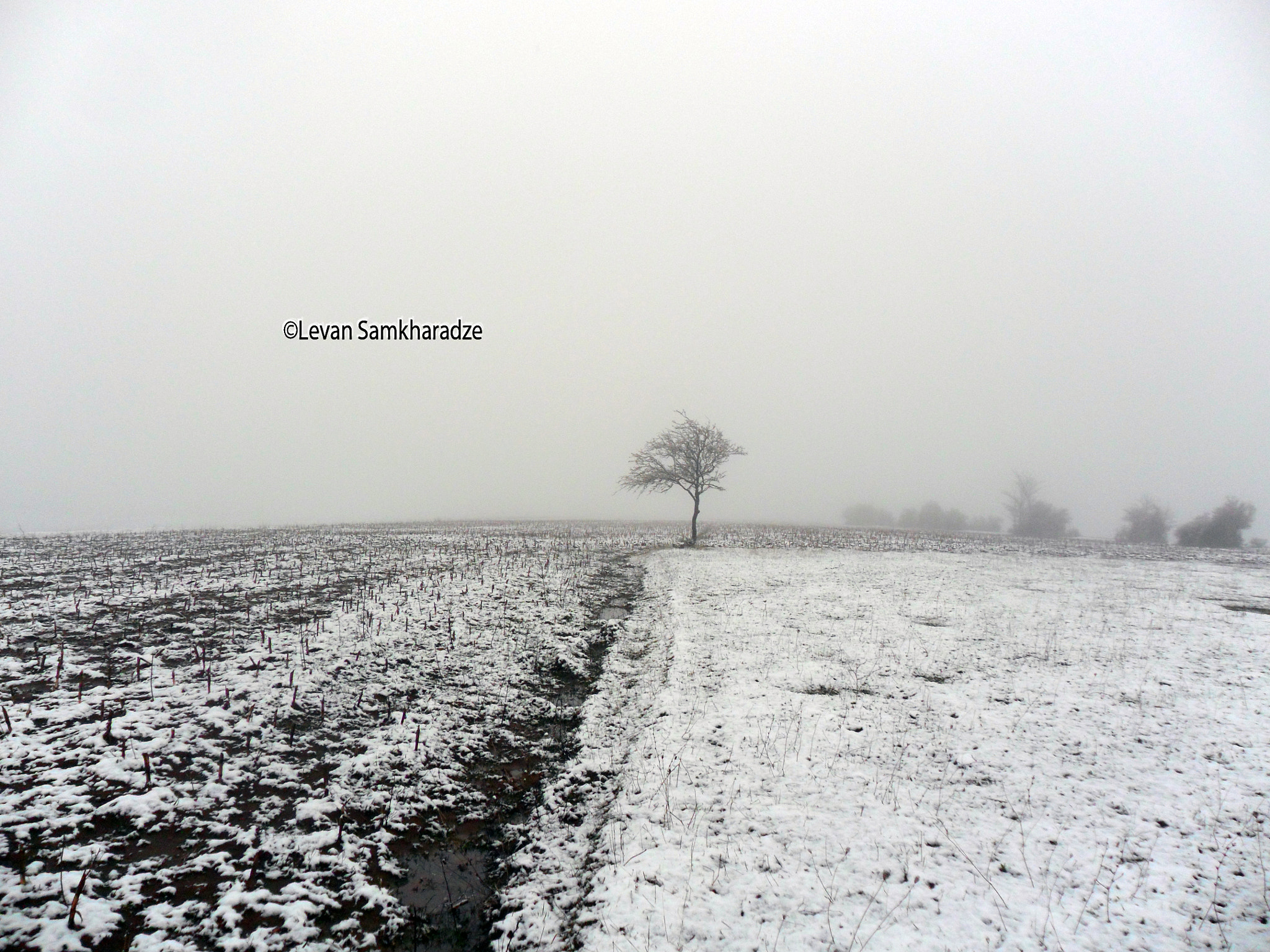 Samsung PL20,PL21 / VLUU PL20,PL21 sample photo. Navel of the earth. photography