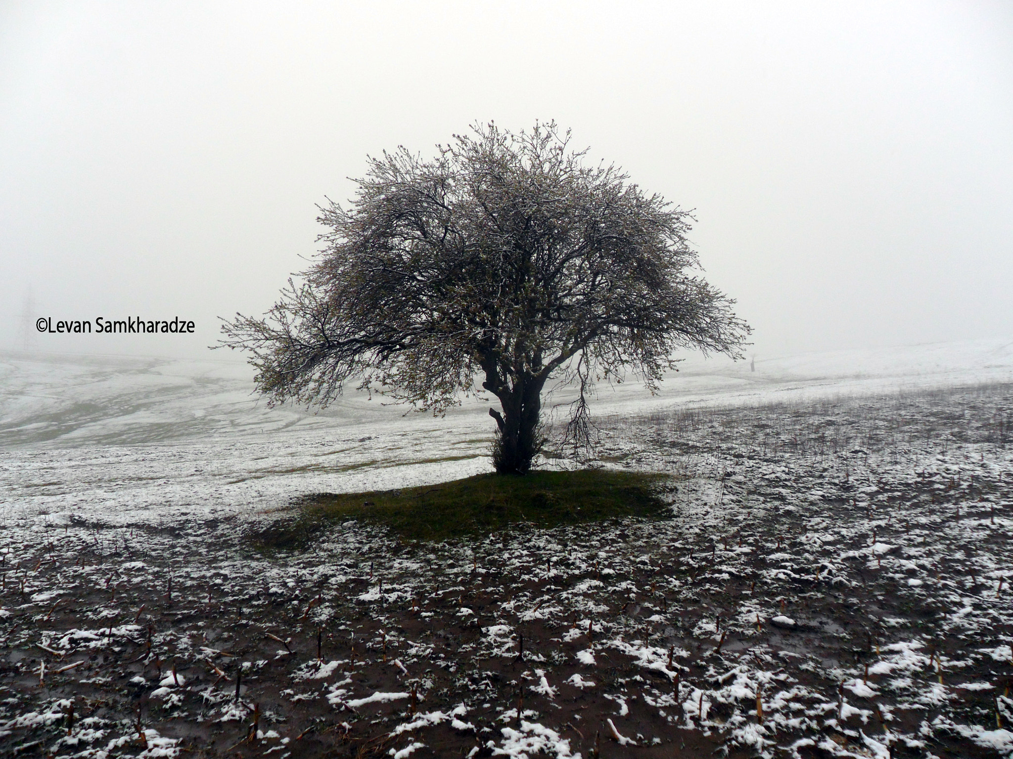 Samsung PL20,PL21 / VLUU PL20,PL21 sample photo. Life's island on the death world. ||| leben auf de photography