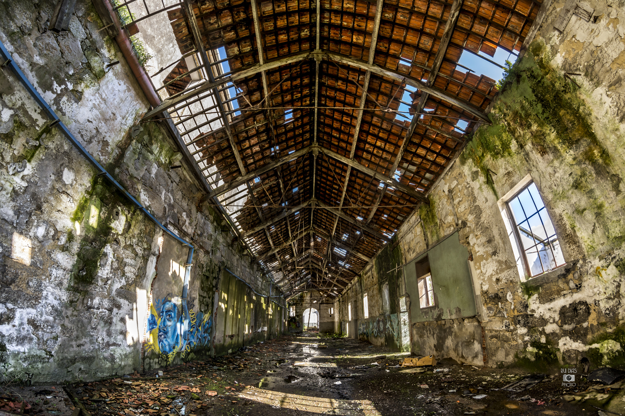 Nikon D7200 + Samyang 8mm F3.5 Aspherical IF MC Fisheye sample photo