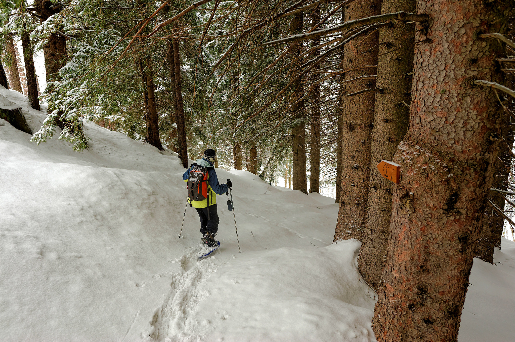 Nikon D700 + Nikon AF-S Nikkor 24mm F1.8G ED sample photo. Pleasures of snow-shoes hiking photography