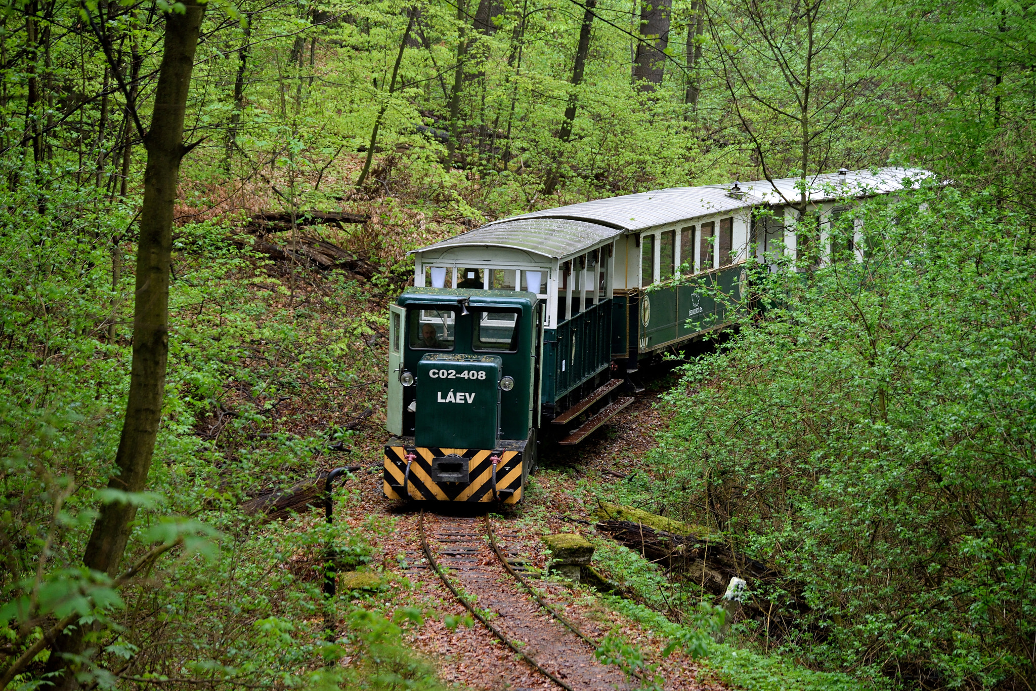 AF Zoom-Nikkor 35-80mm f/4-5.6D sample photo. Narrow train in spring forest photography