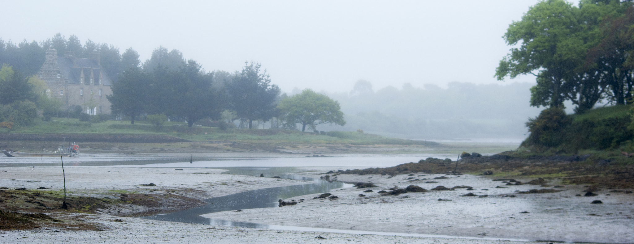 Pentax K10D + Sigma sample photo. Locoal brume photography