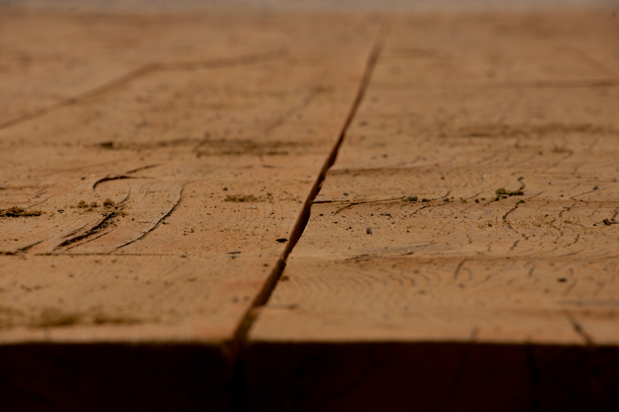 Tamron 18-270mm F3.5-6.3 Di II PZD sample photo. Wood photography