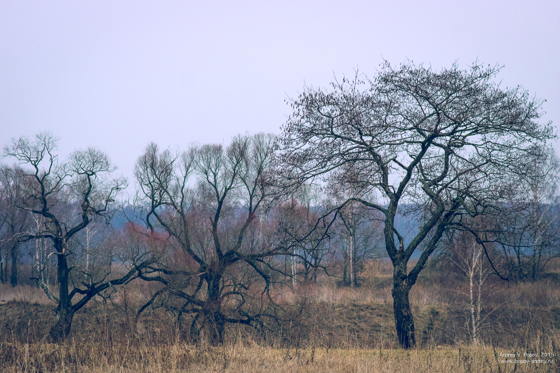 Pentax smc FA 77mm 1.8 Limited sample photo. The three sames photography
