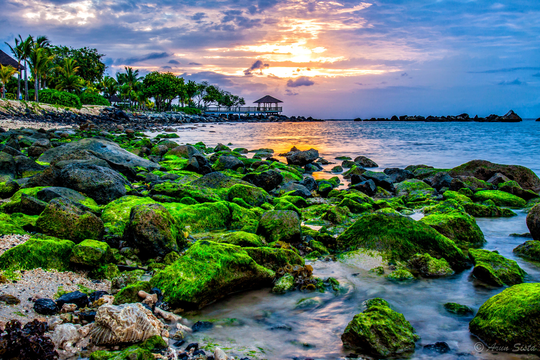 Canon EF 24-70mm F4L IS USM sample photo. Mauritius photography
