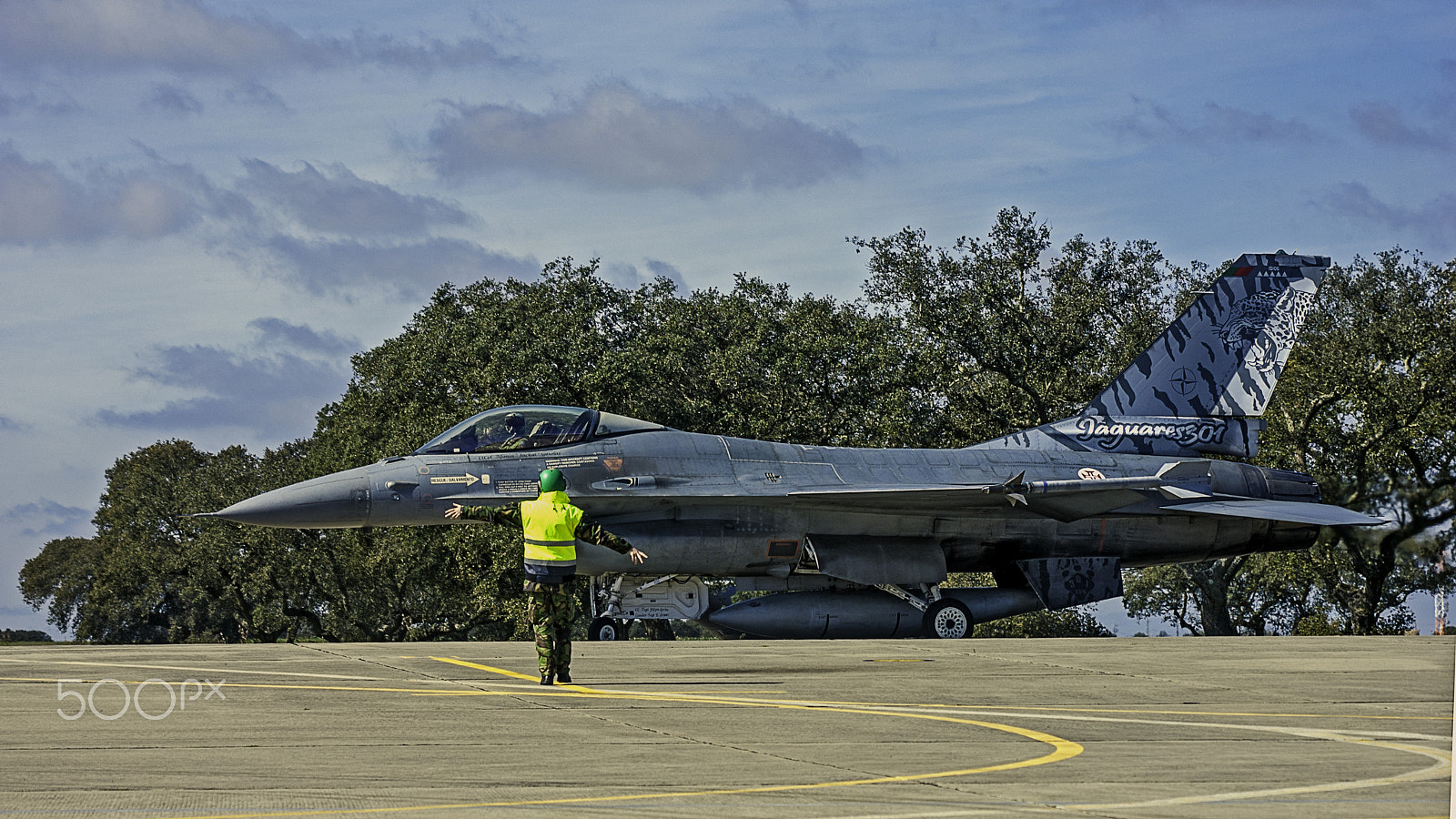 Sony Alpha DSLR-A390 + Sigma 30mm F1.4 EX DC HSM sample photo. Ltcol afonso "jackal" gaiolas photography