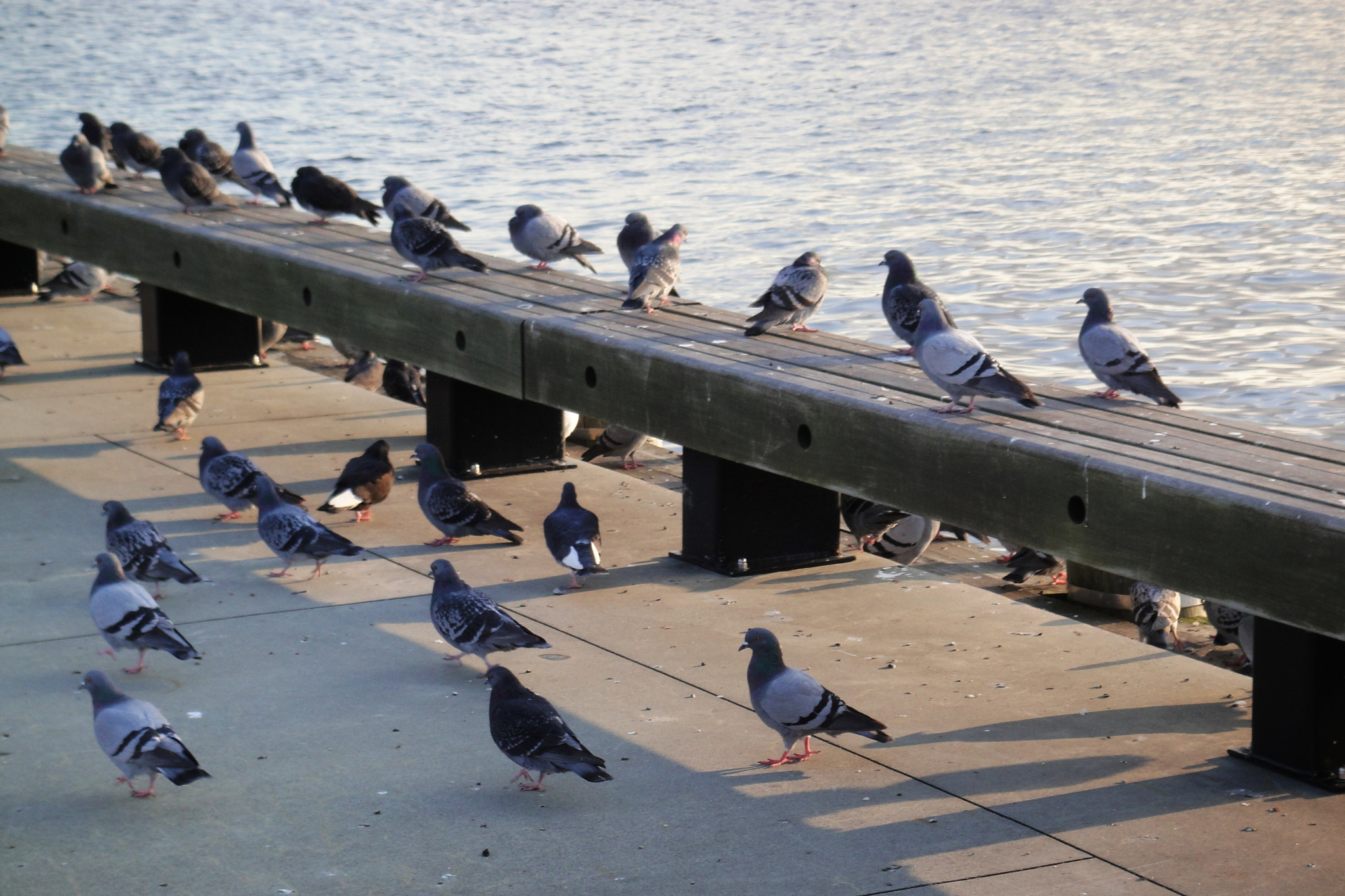 Sony DSC-T900 sample photo. Ct - new london pier photography