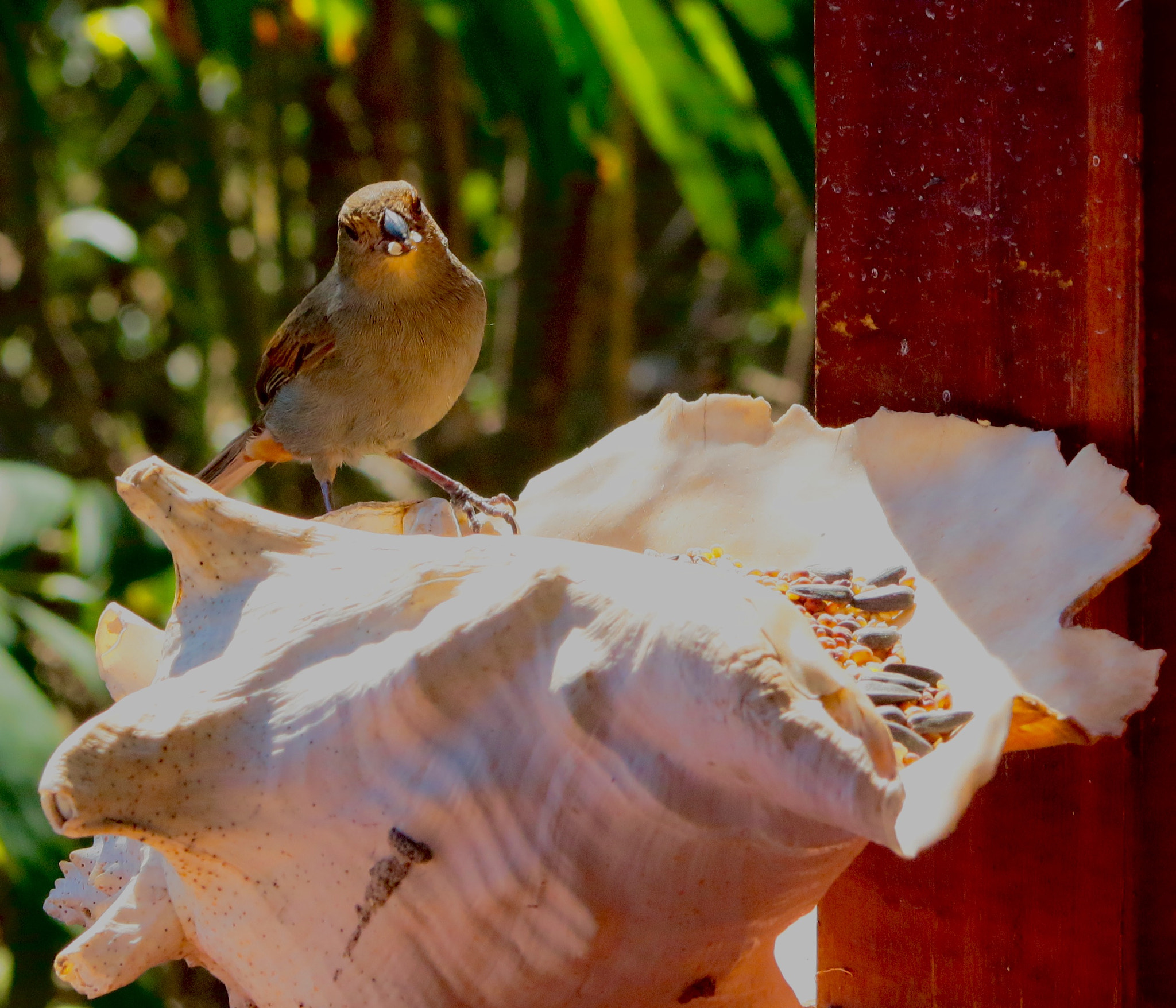 Canon EF75-300mm f/4-5.6 sample photo. Feeding time photography