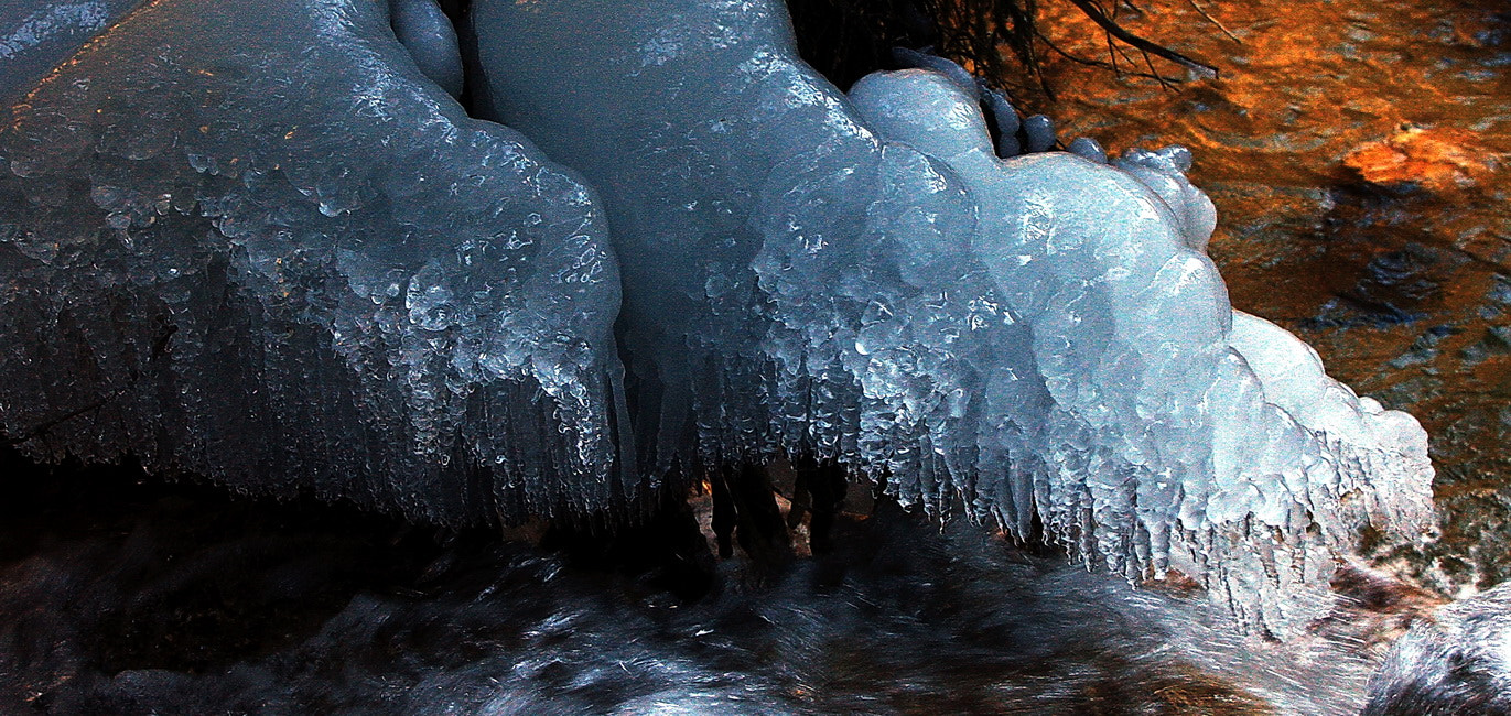 Canon EOS 40D sample photo. 西部a () photography