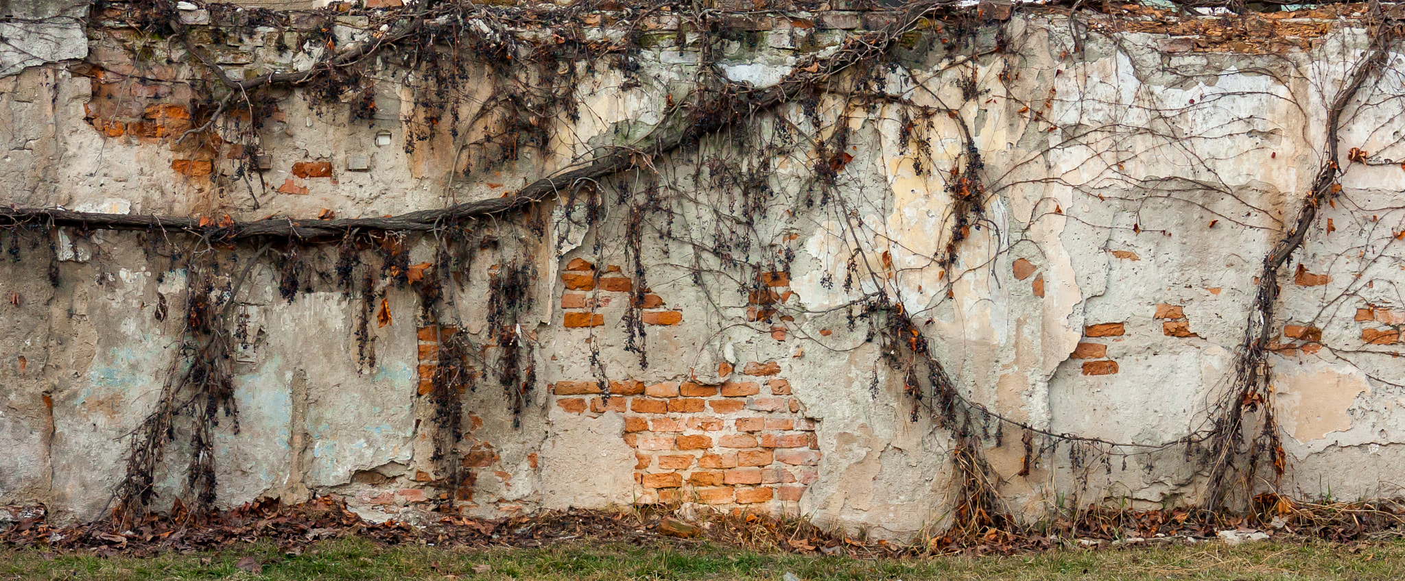 Canon EF 100-300mm F4.5-5.6 USM sample photo. The wall photography
